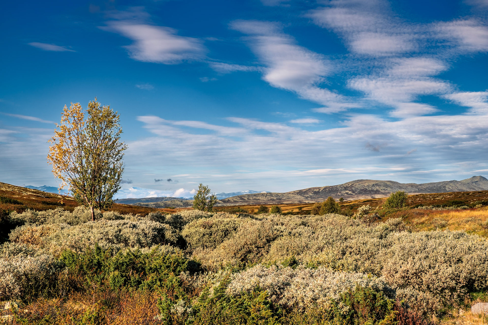 Rondane NP