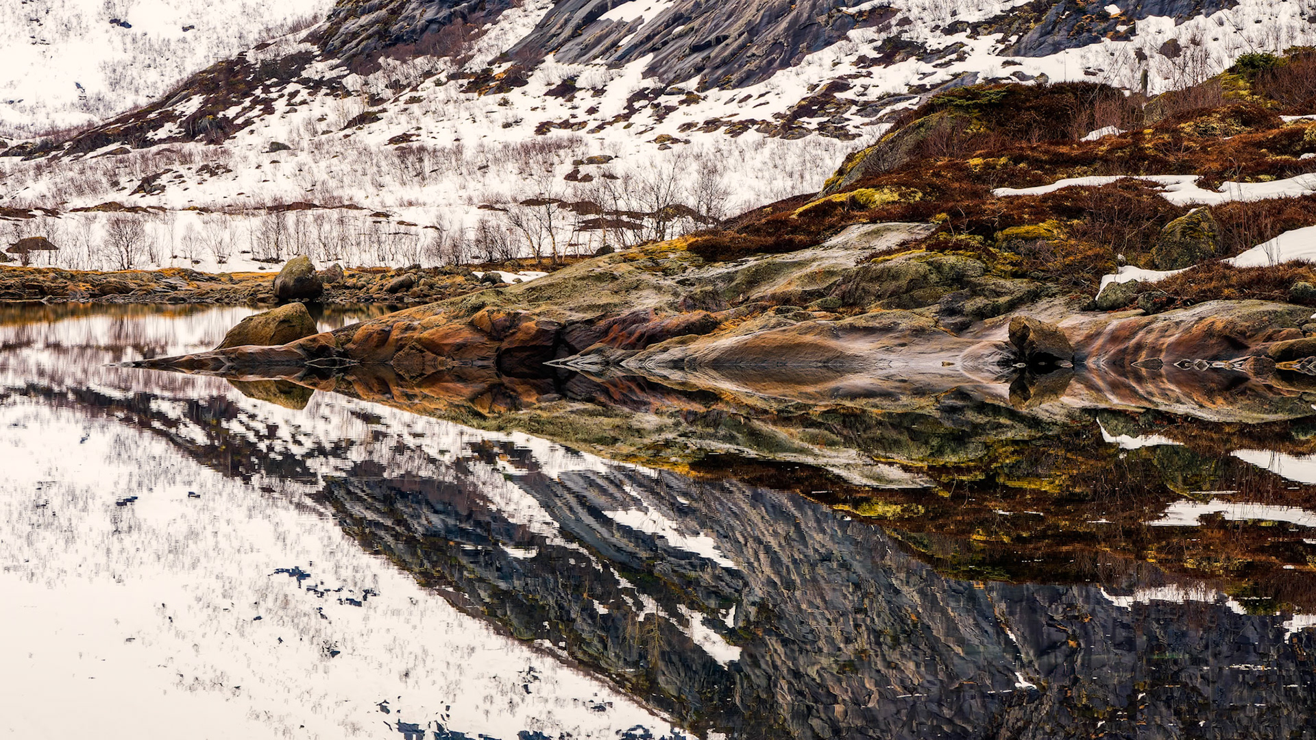 Vatterfjordpollen