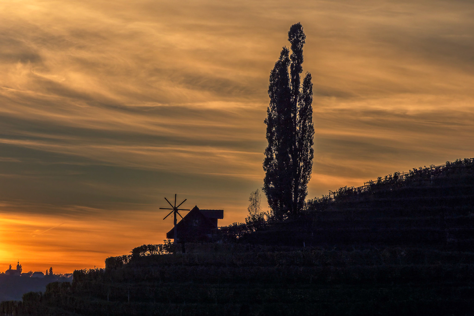 Weingarten am Silberberg