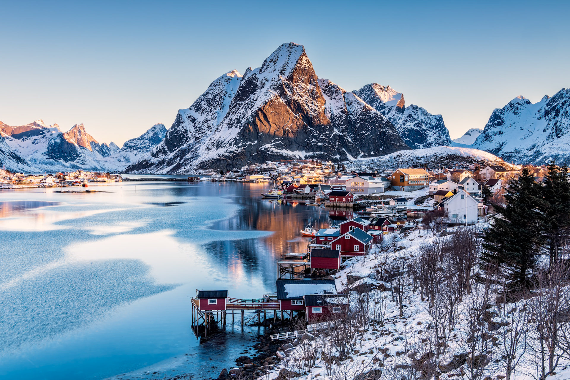 Reine
