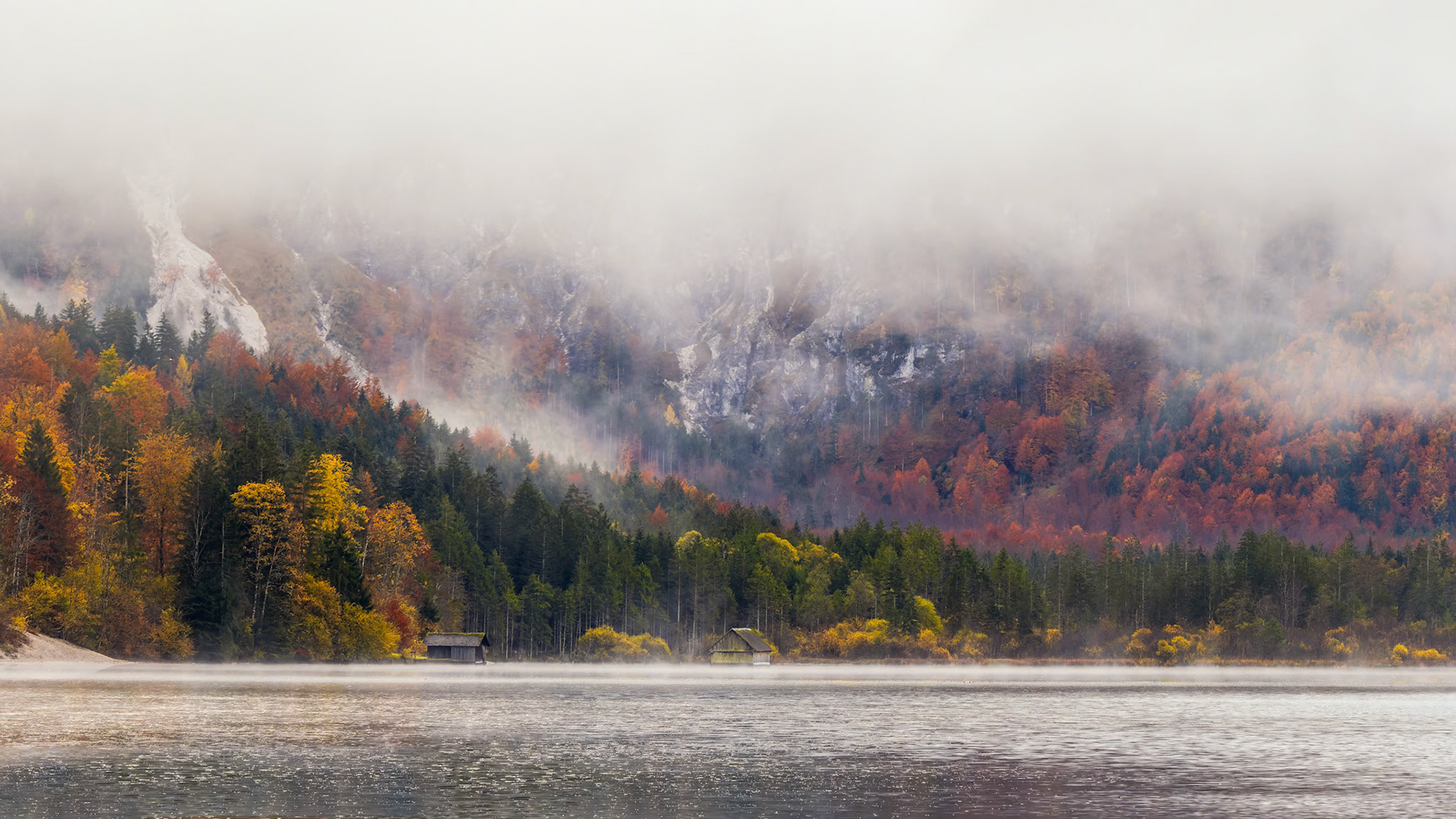 Herbstnebel