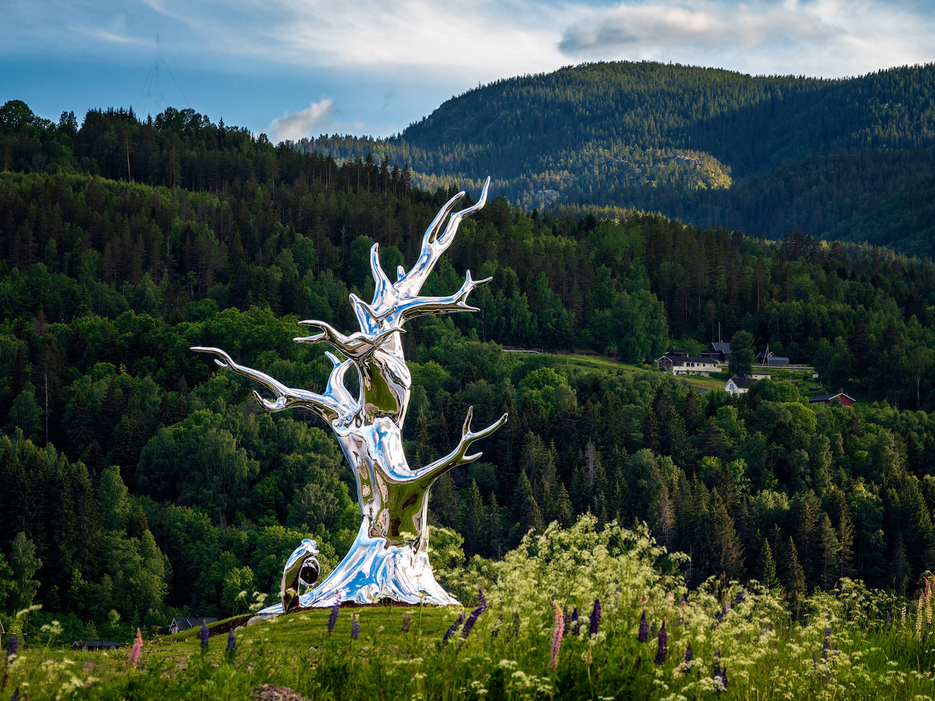 Notodden Heddalsvatnet