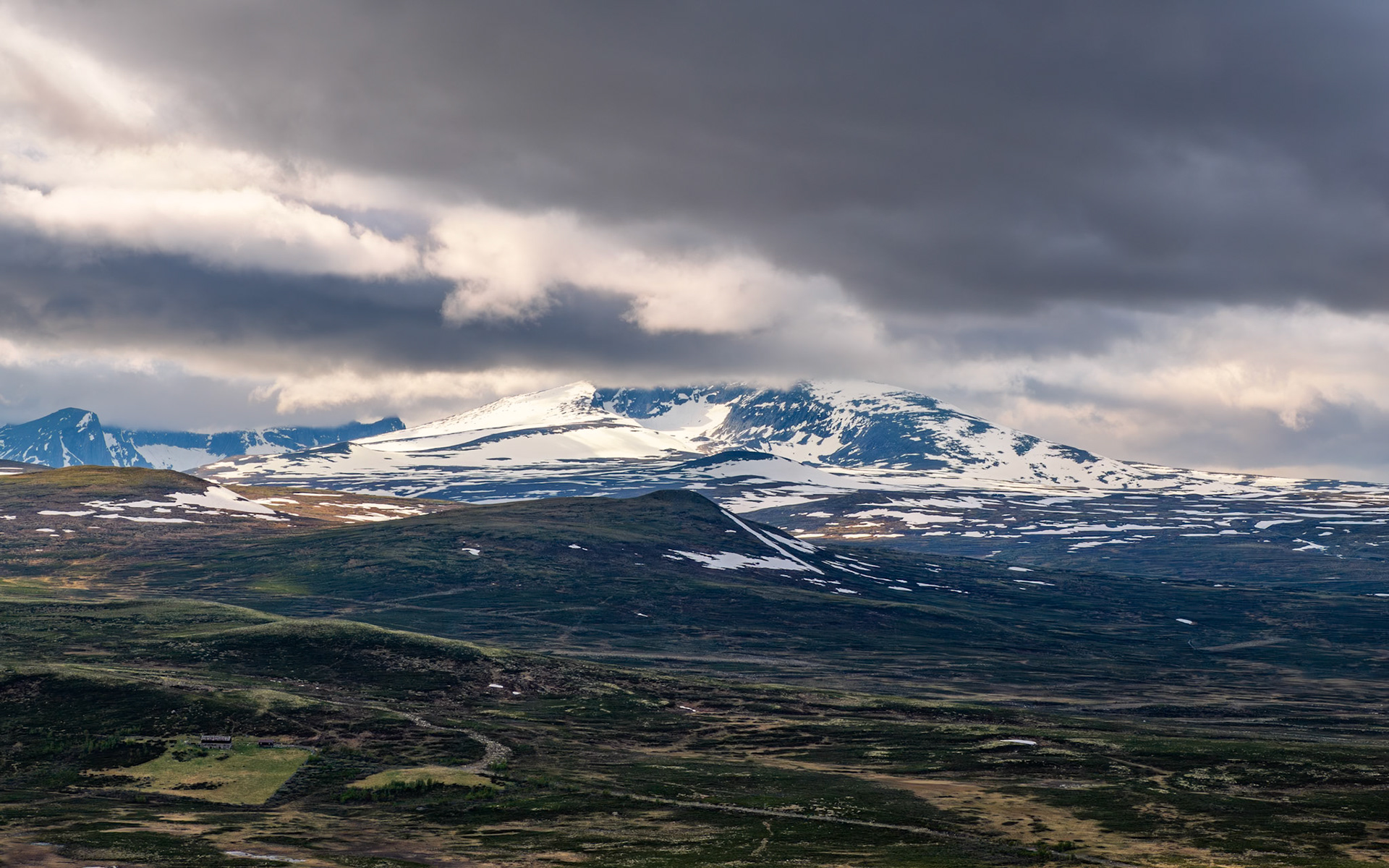 Snøhetta