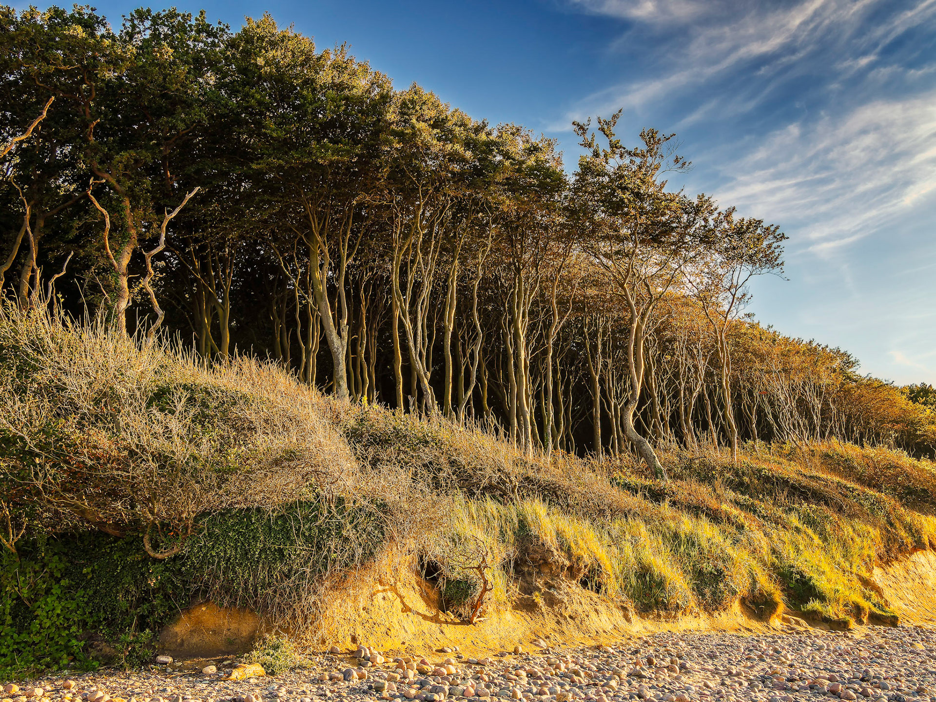 Gespensterwald Nienhagen