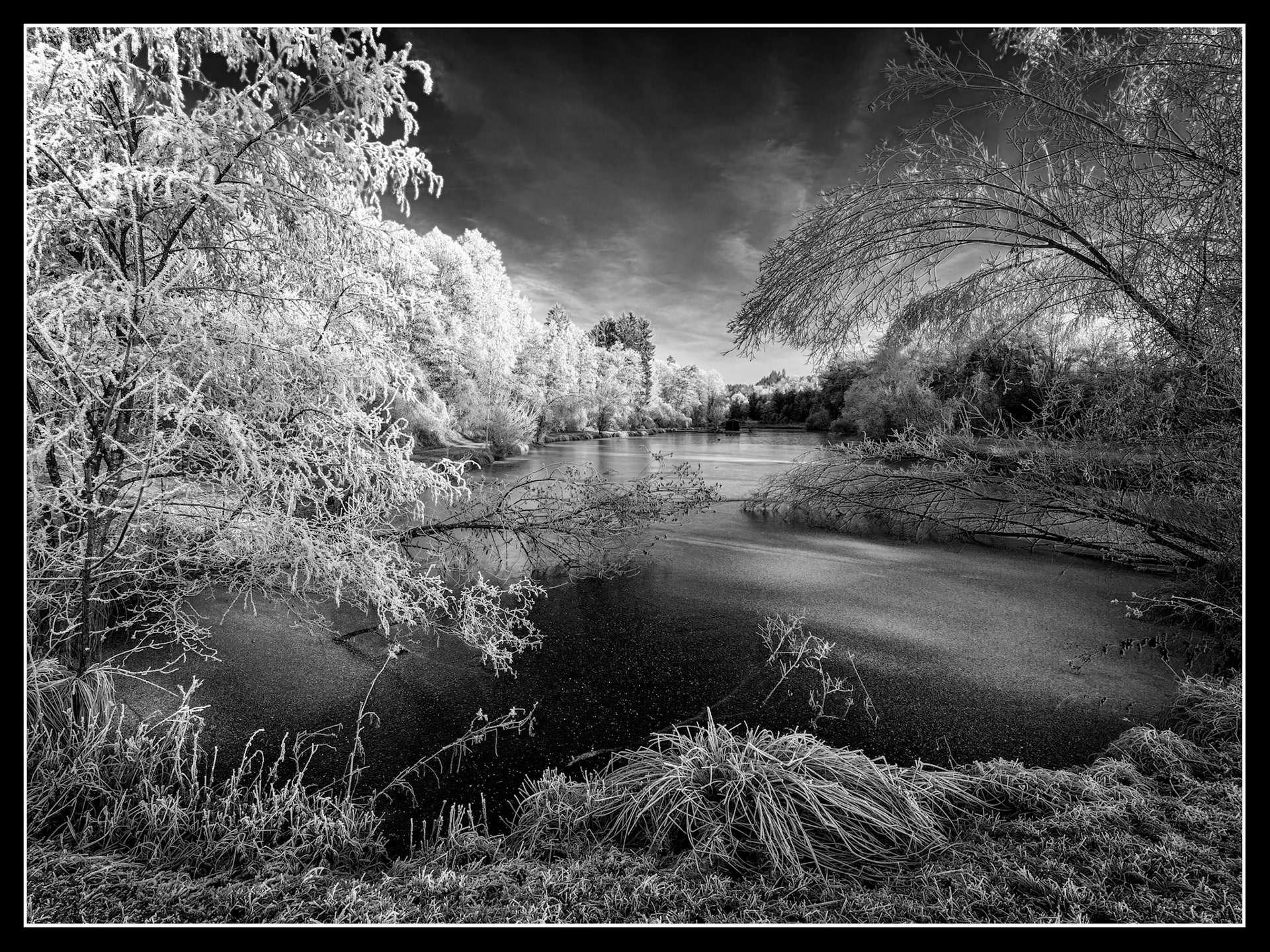 Lössl Teiche (Mühltal)