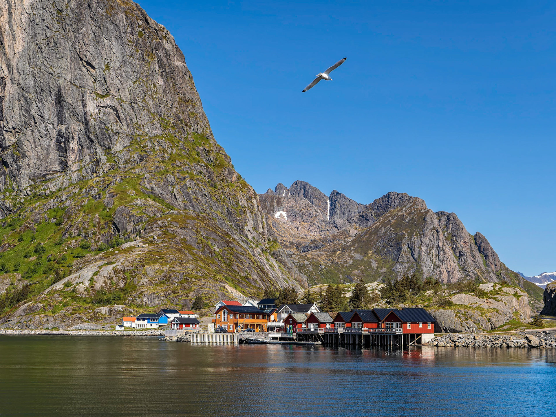 Hamnøy