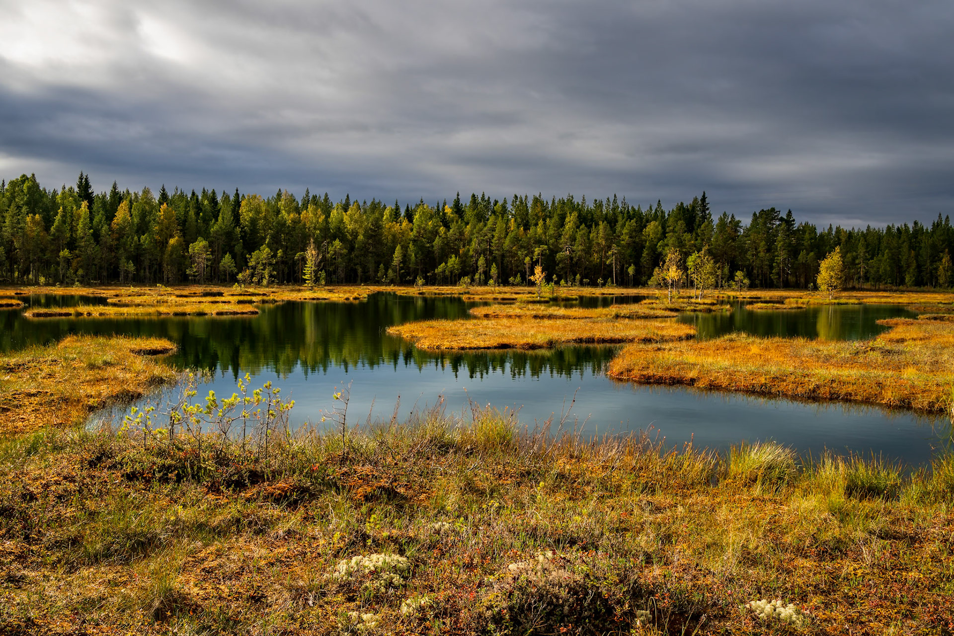An der E12 vor Storuman