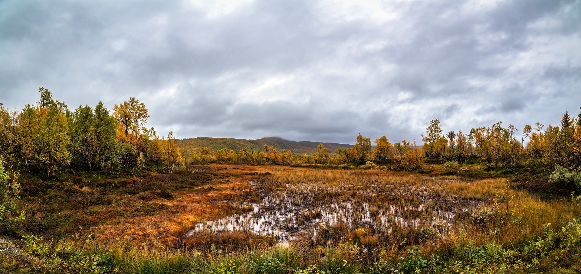 Am Weg nach Mo I Rana