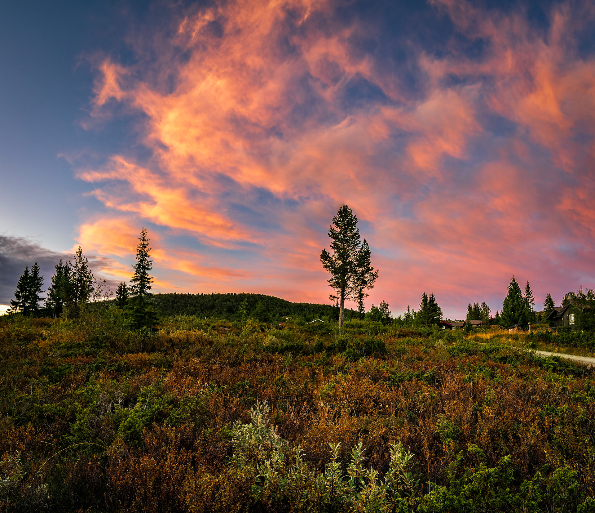 Mysusæter (Rondan)e NP