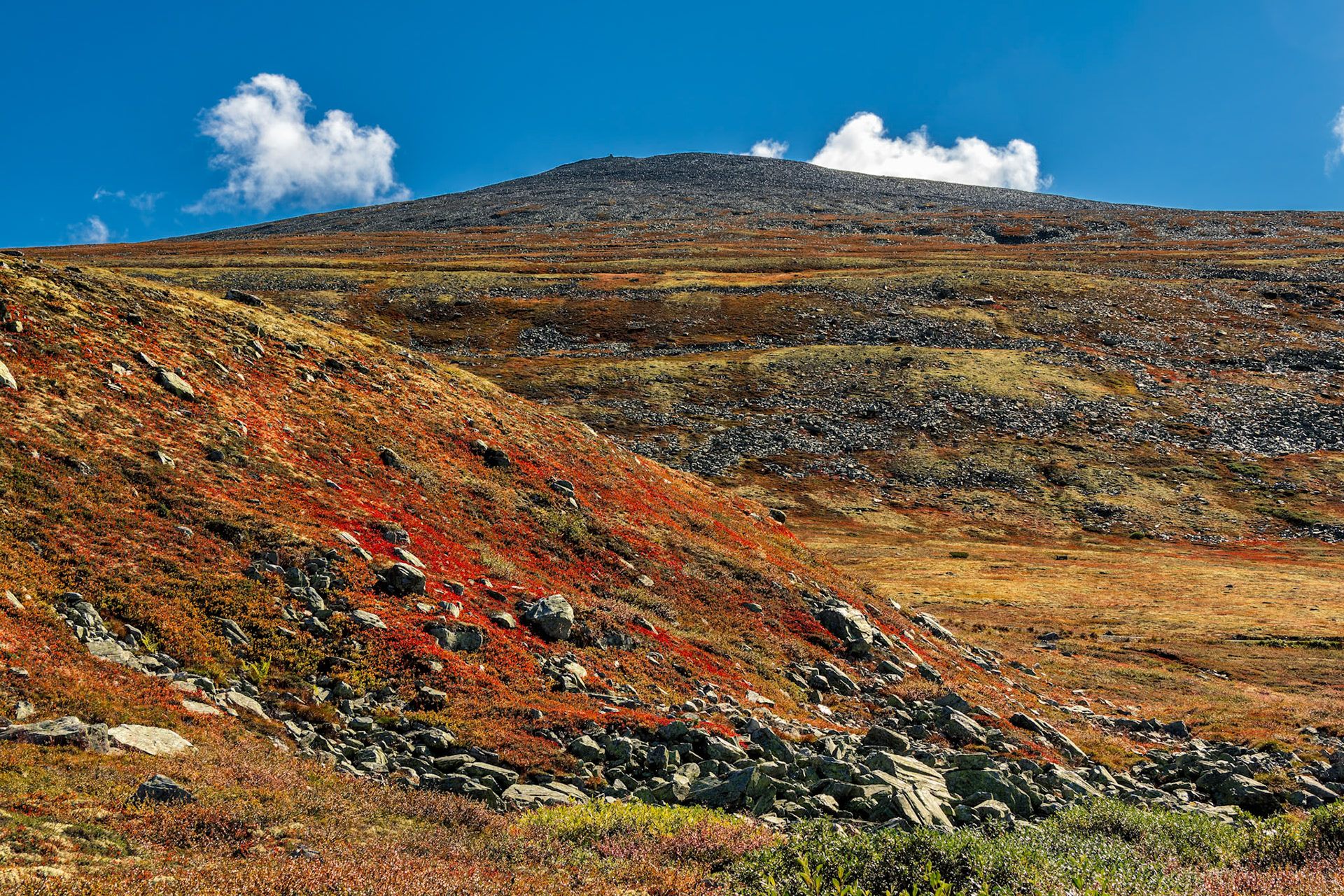 Rondane NP