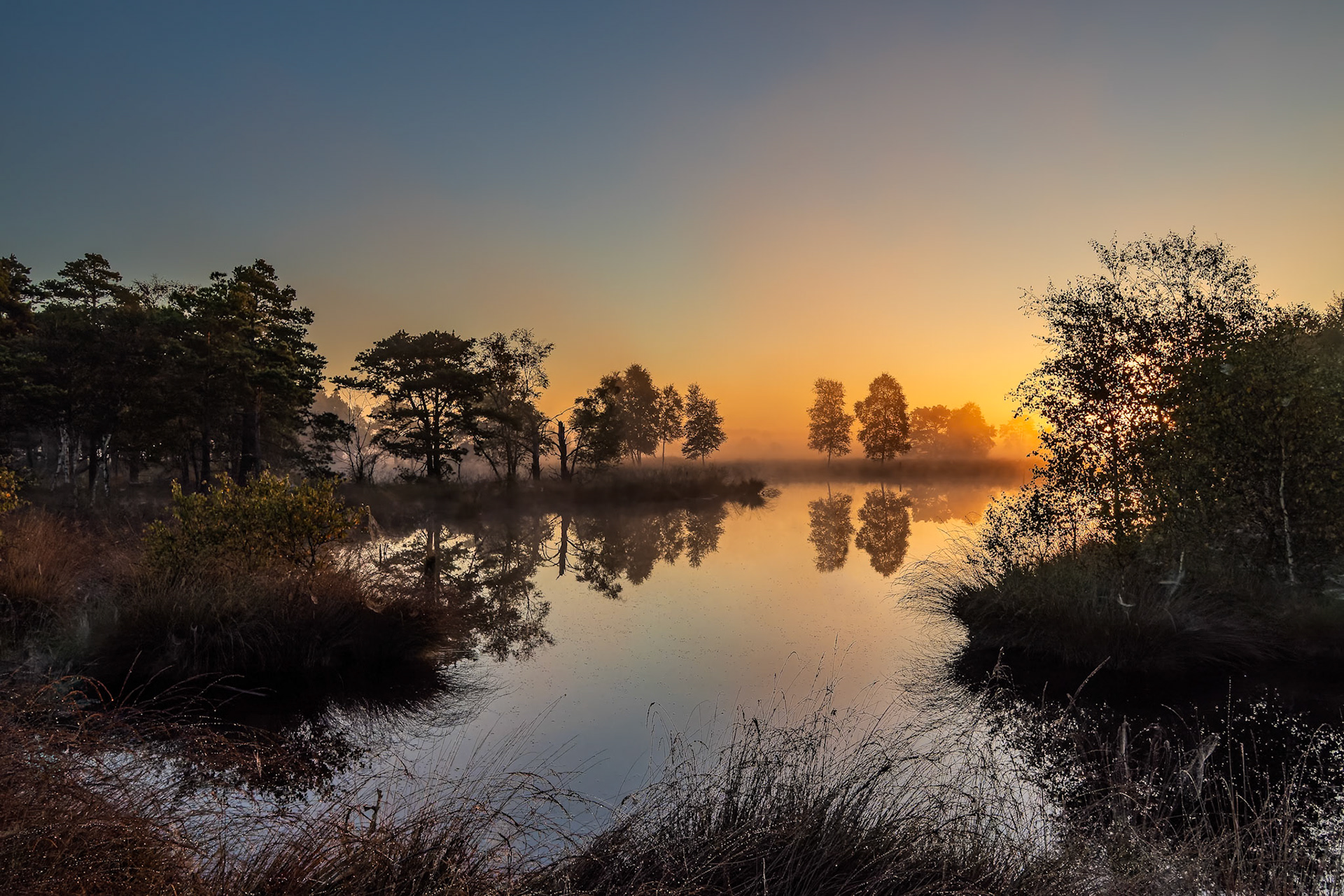 Tagesanbruch im Moor