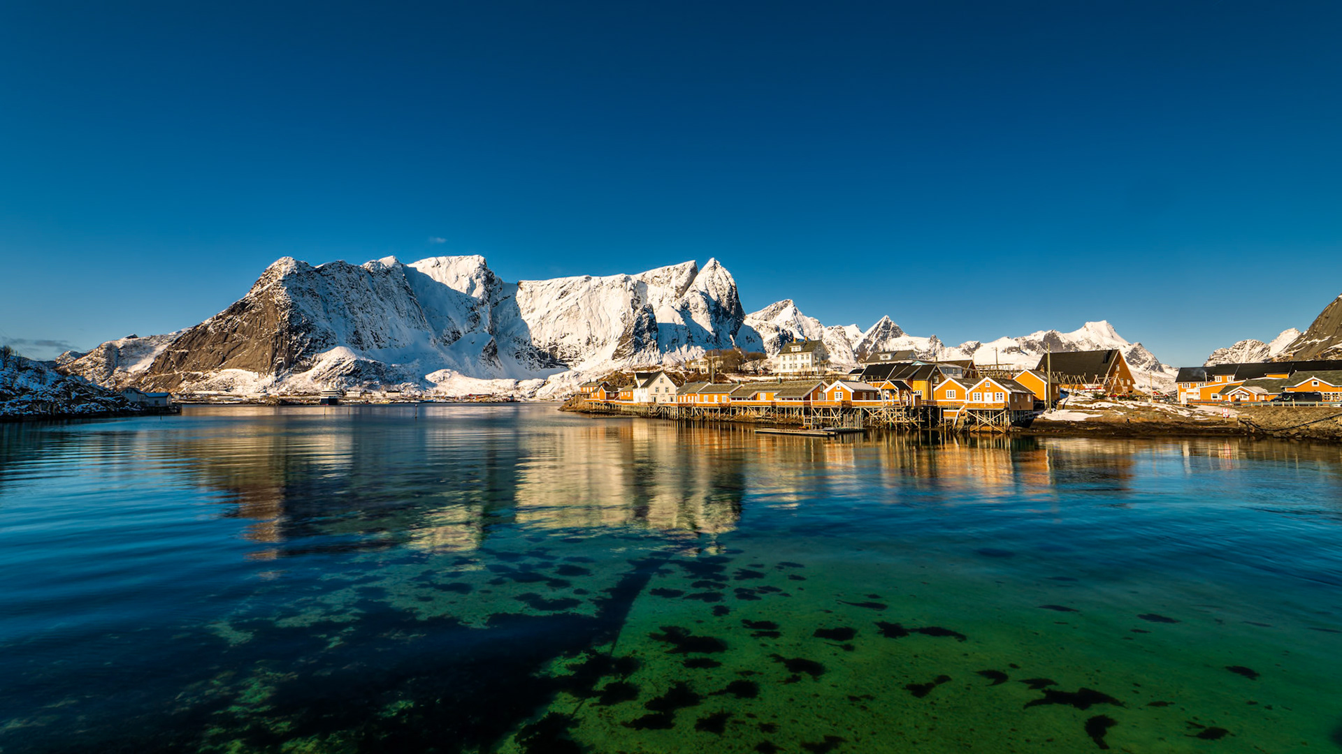 Sakrisøy