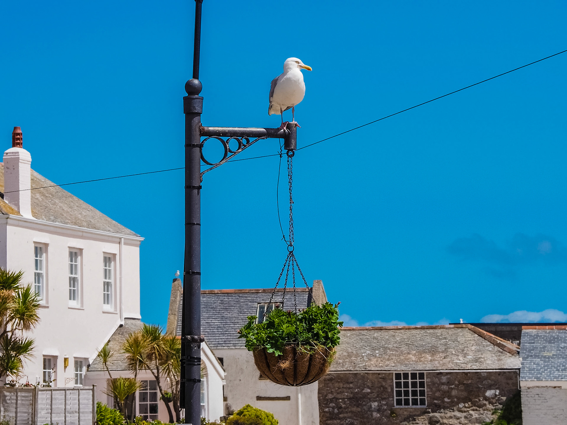 St. Ives