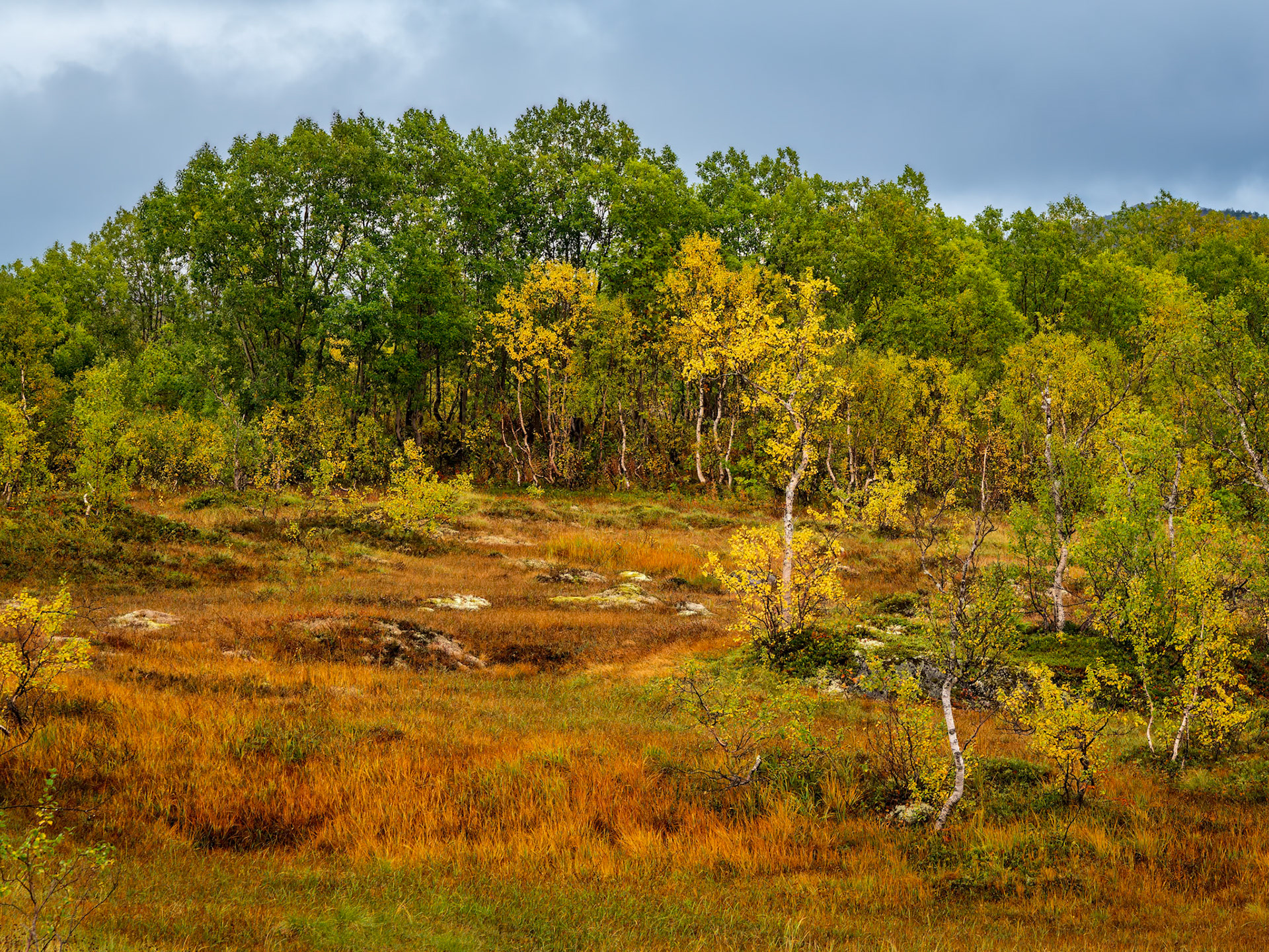 Herbstfarben am Kråkmofjell