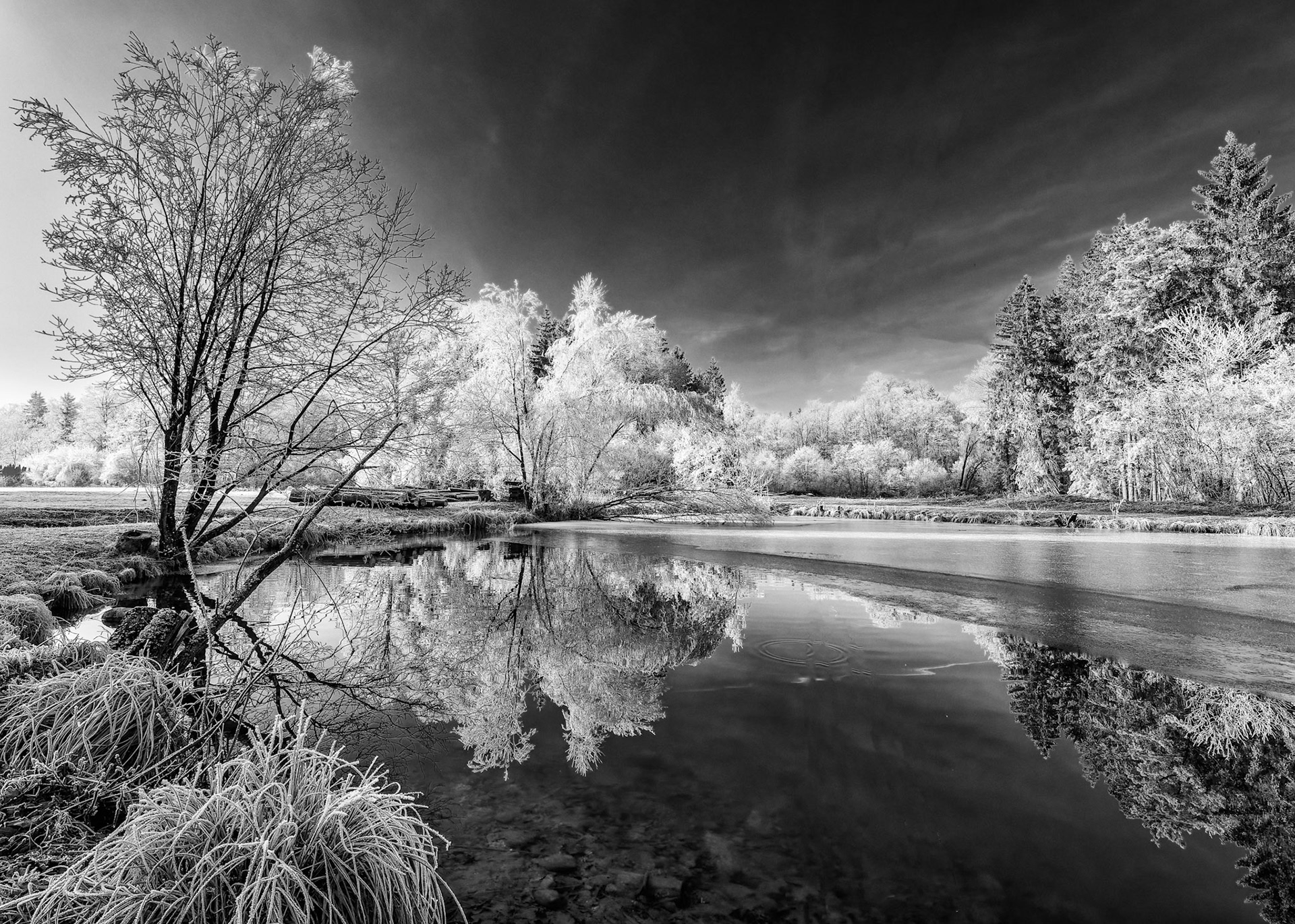 Lössl Teiche (Mühltal)