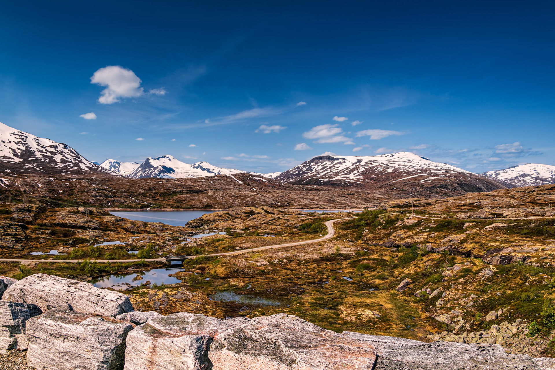 Aursjøvegen