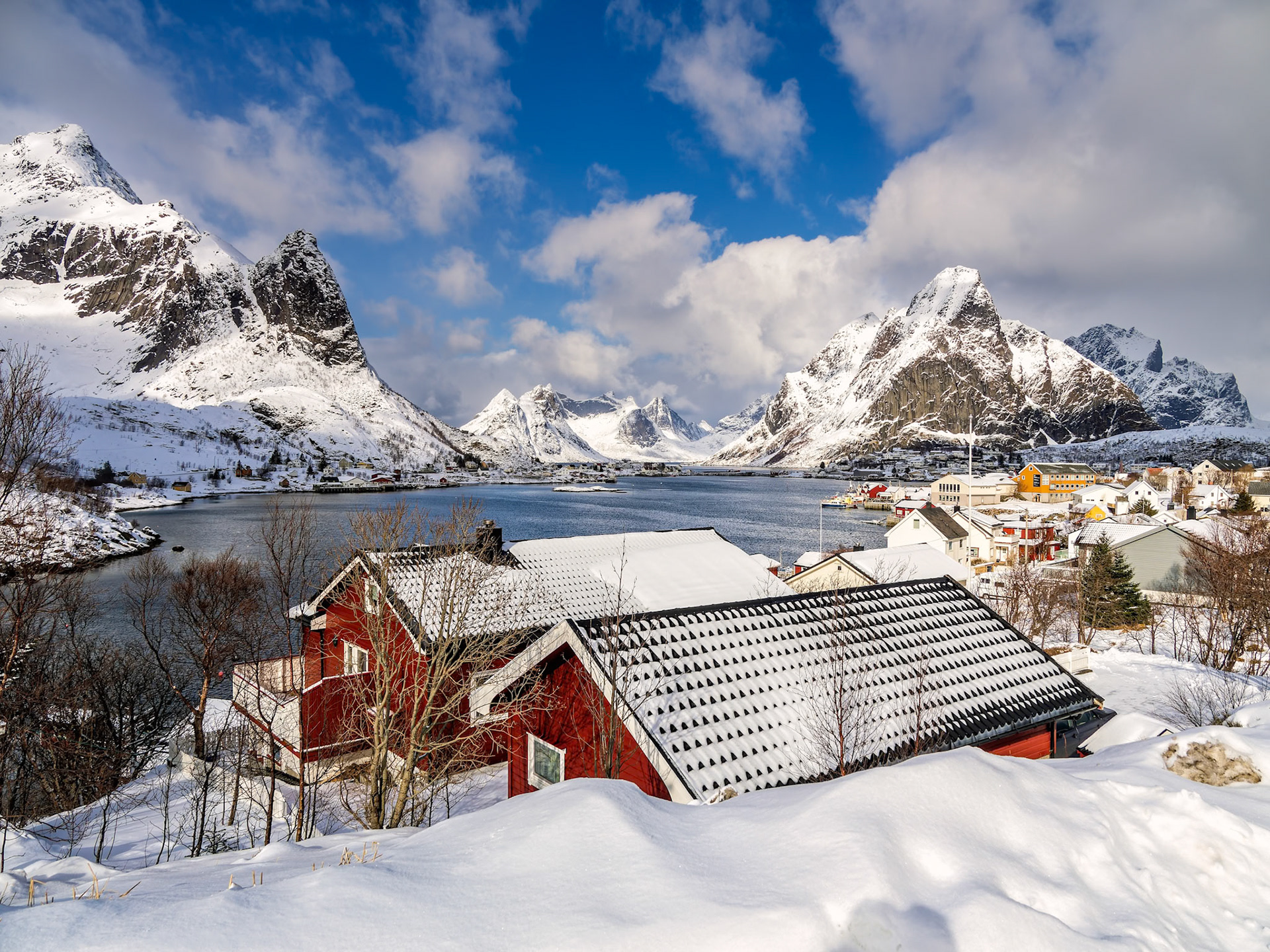 Reine