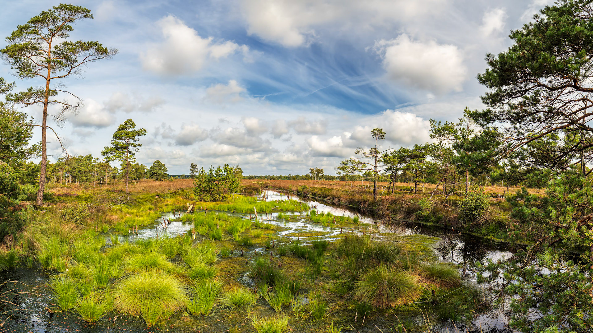 Pietzer Moor