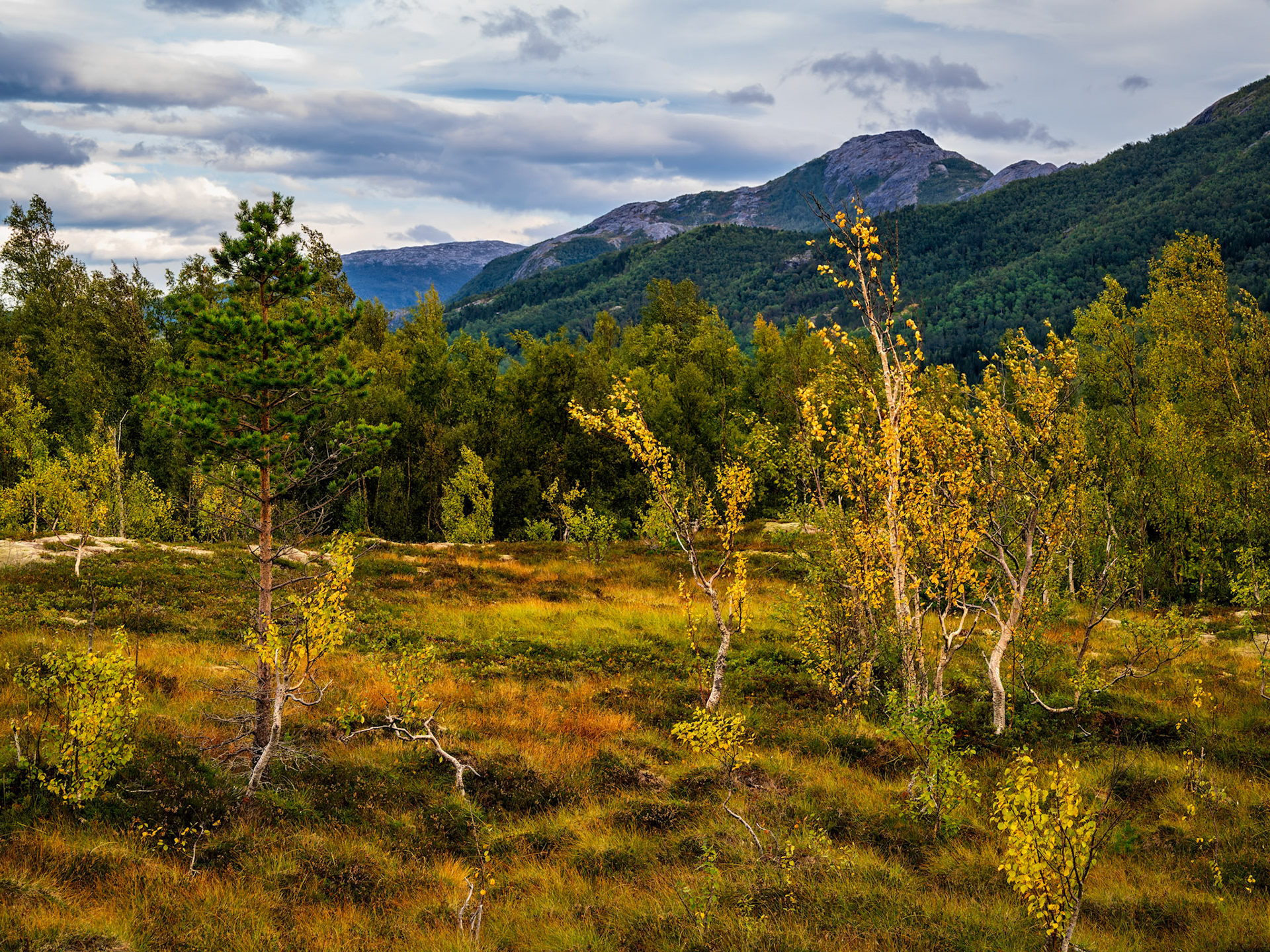 Herbstfarben am Kjellingstraum