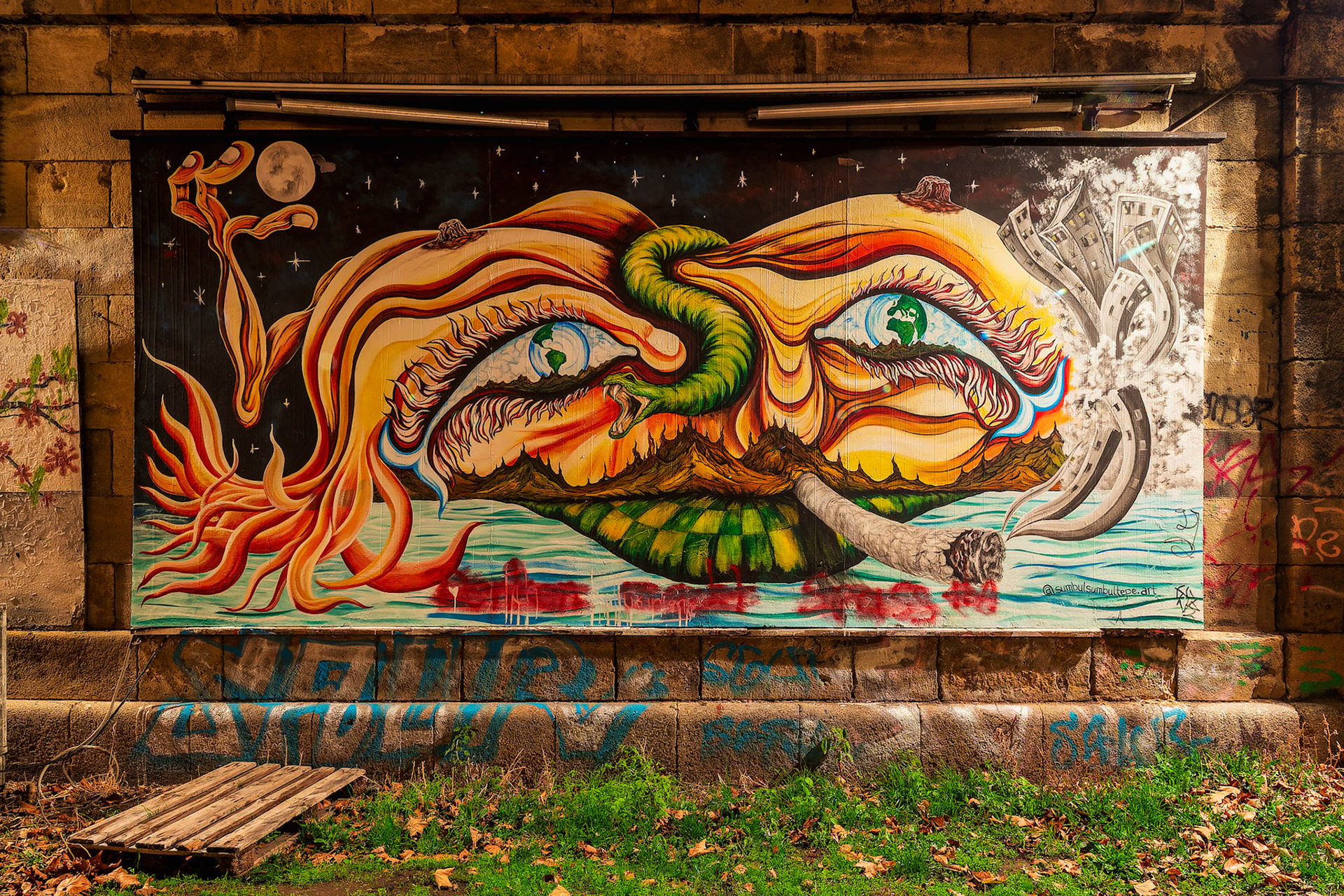Donaukanal Graffity