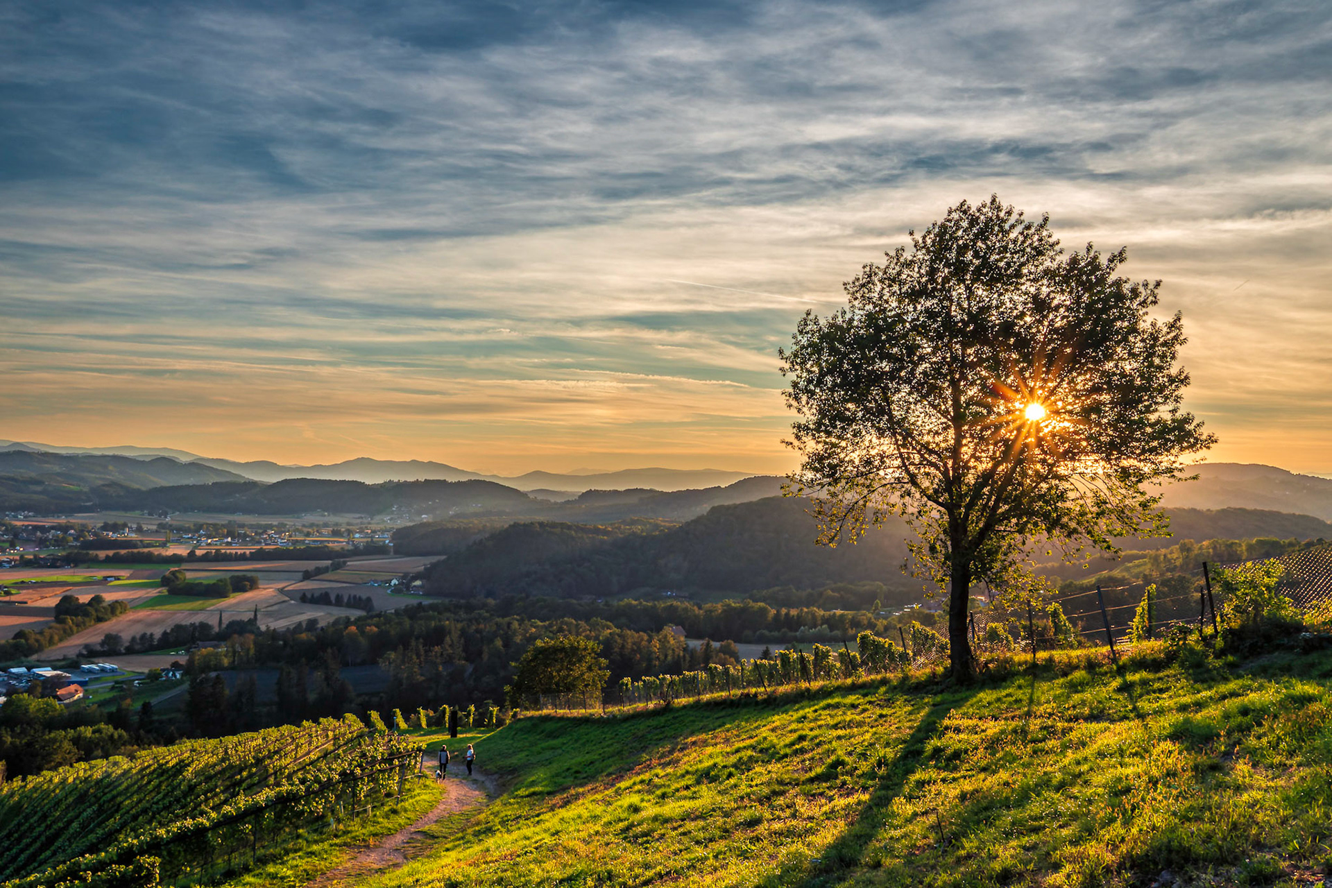 Blick vom Silberberg