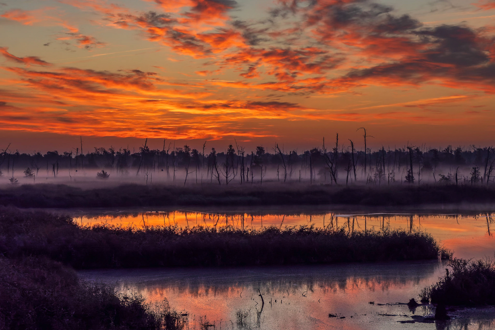 Sonnenaufgang im Moor
