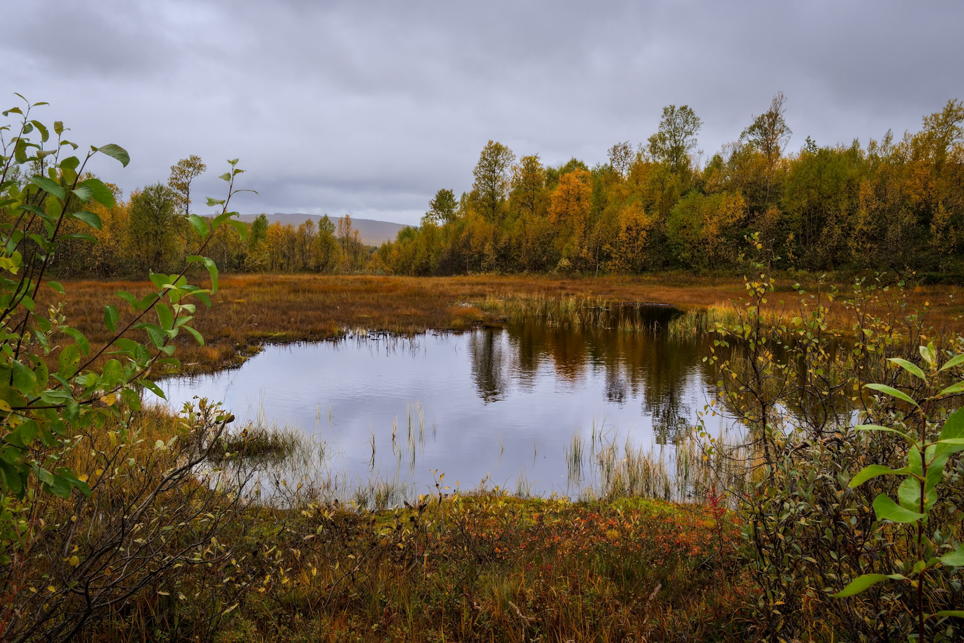 Auf der E6 Richtung Fauske