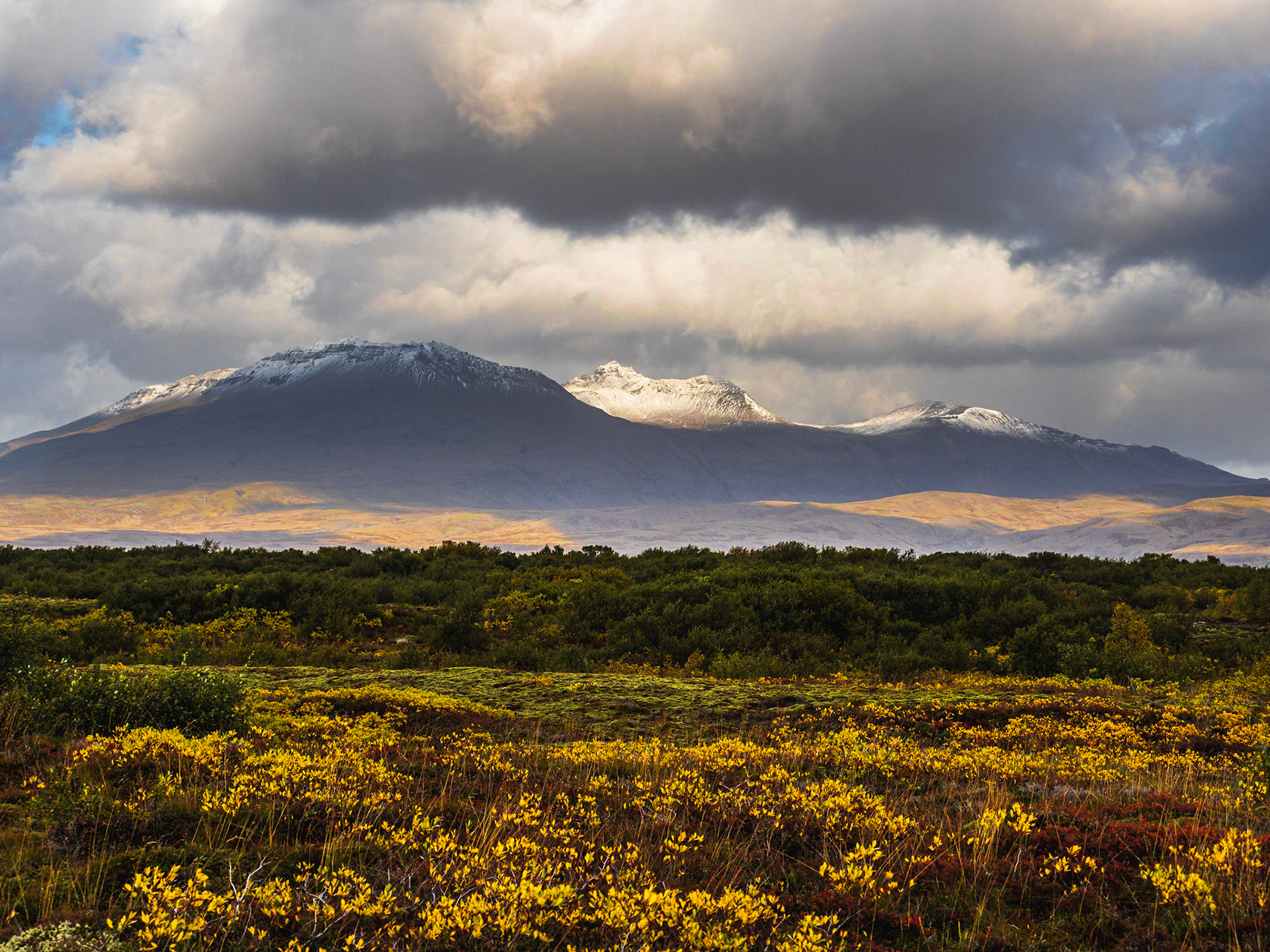 Þingvellir