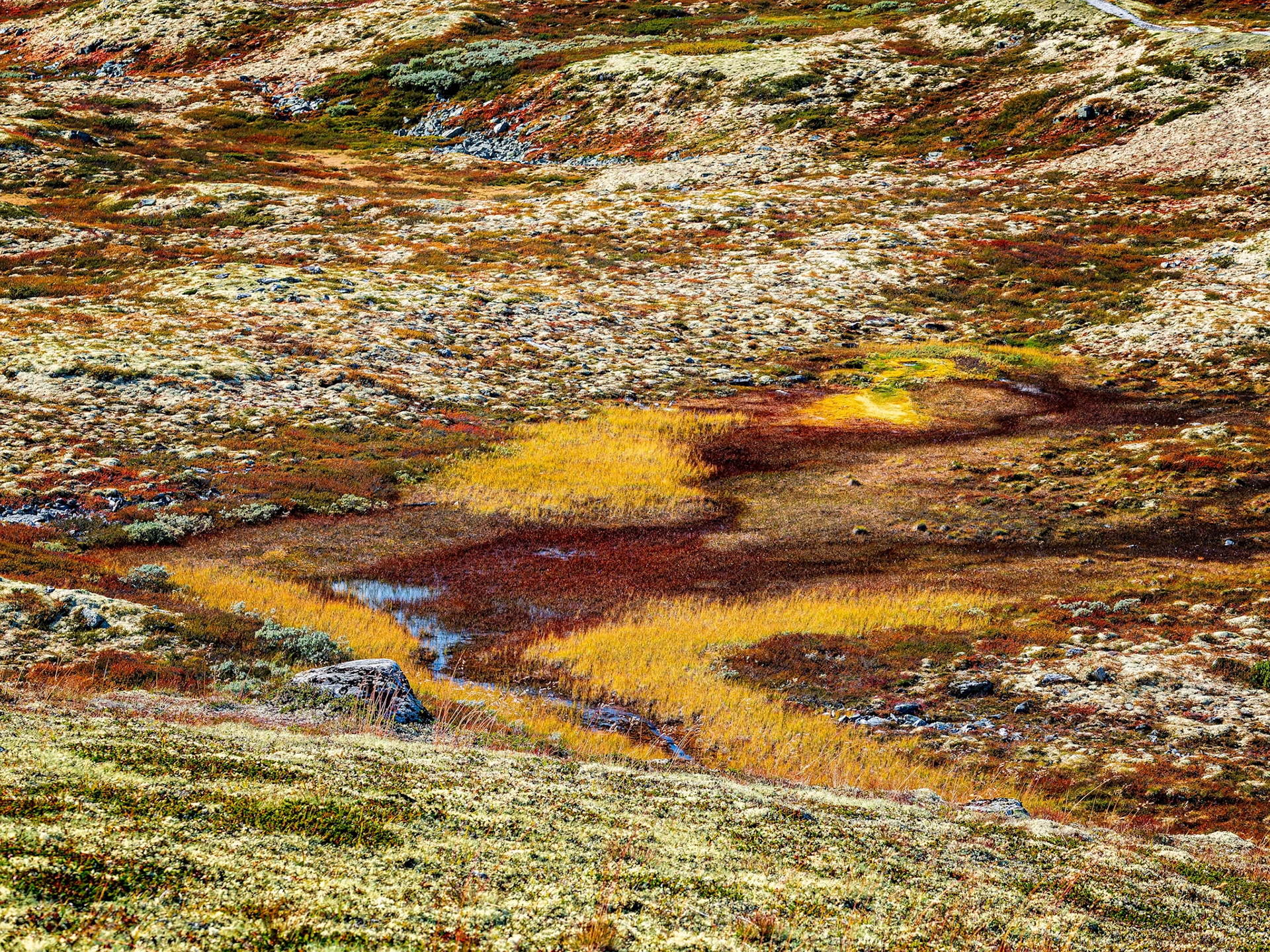 Rondane NP