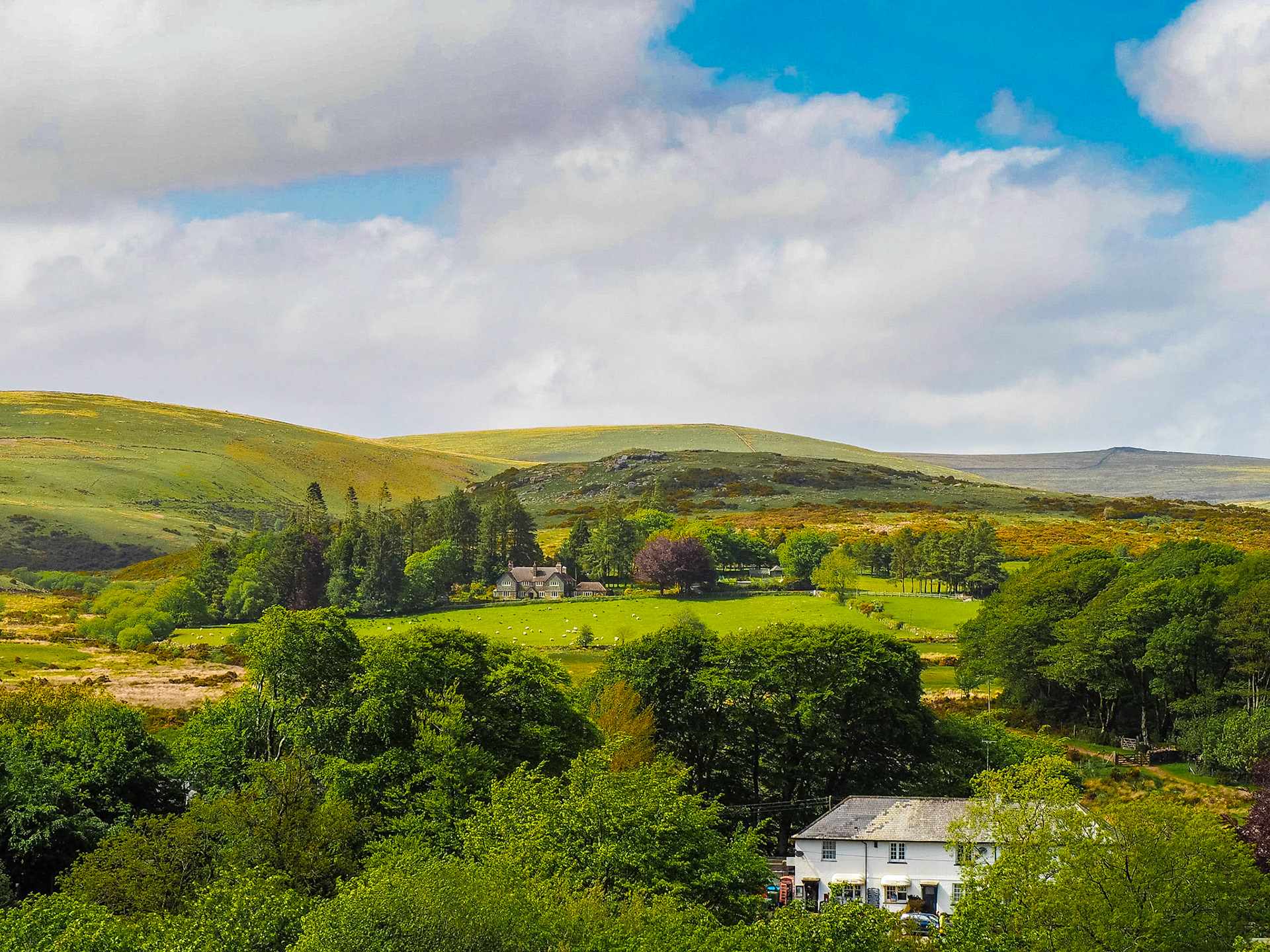 Dartmoor