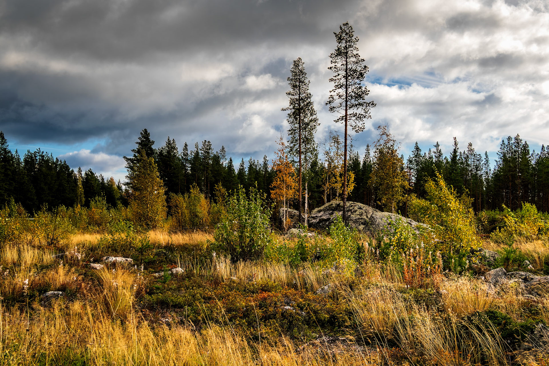 An der E12 vor Storuman