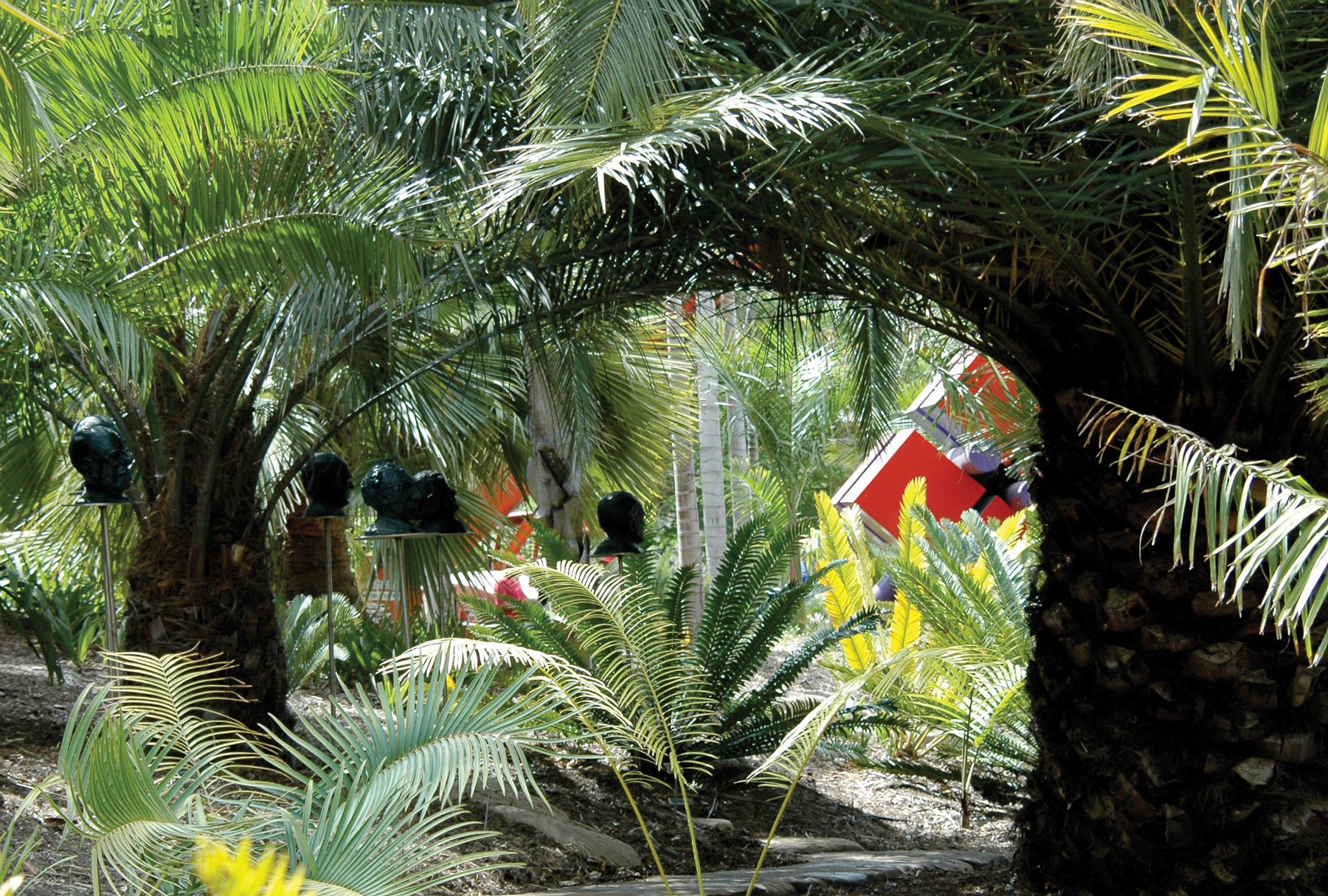 Palm and Cycad garden with sculptures