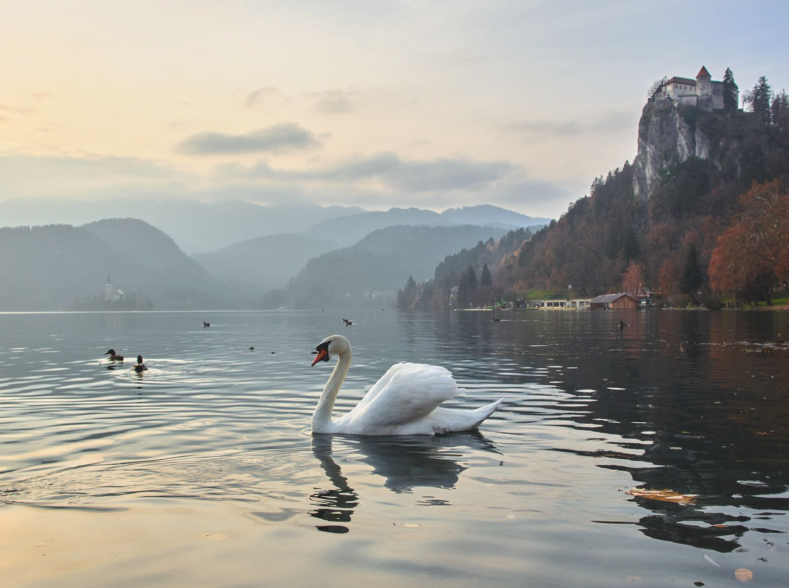 Bled