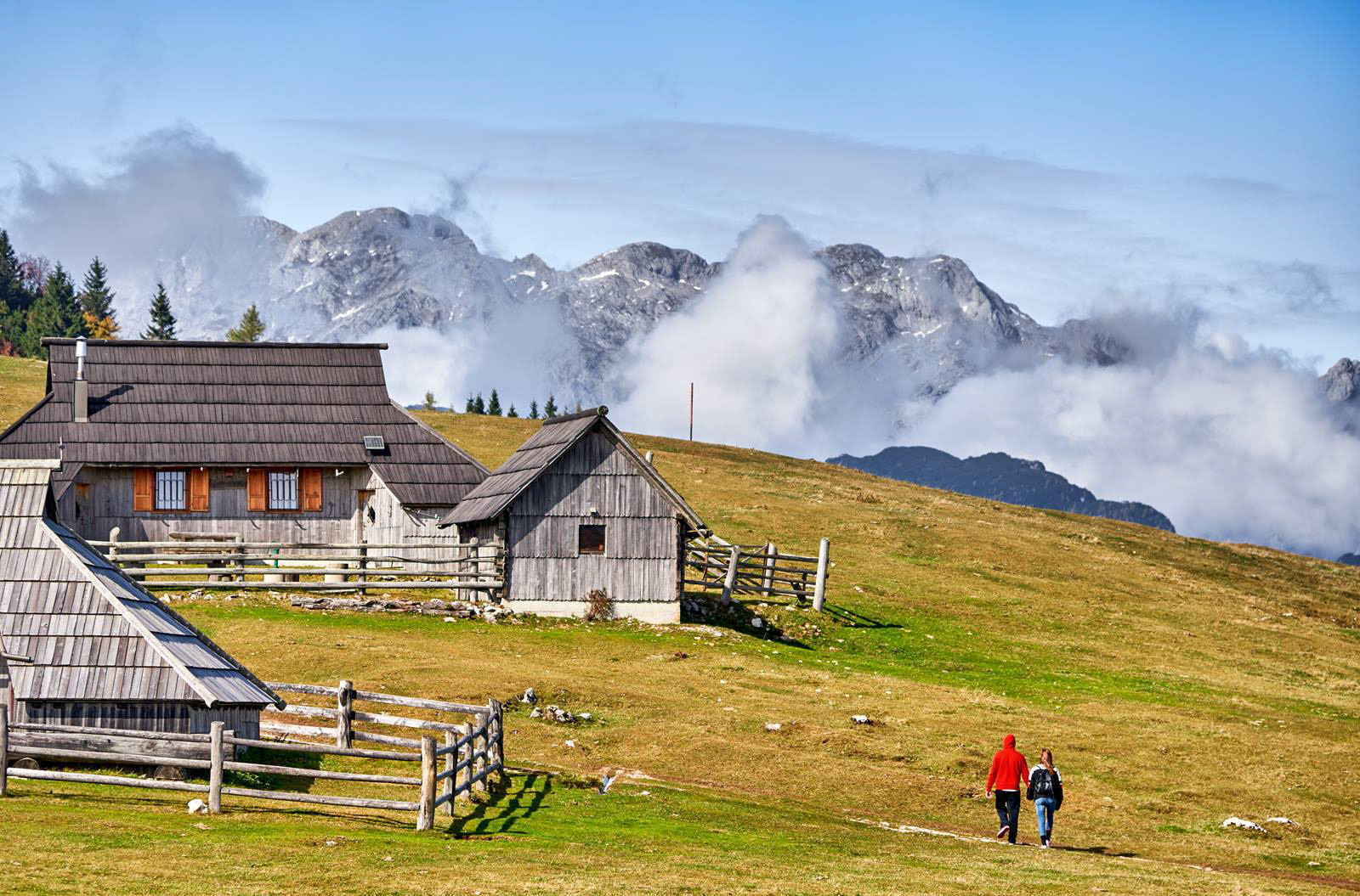 Velika Planina