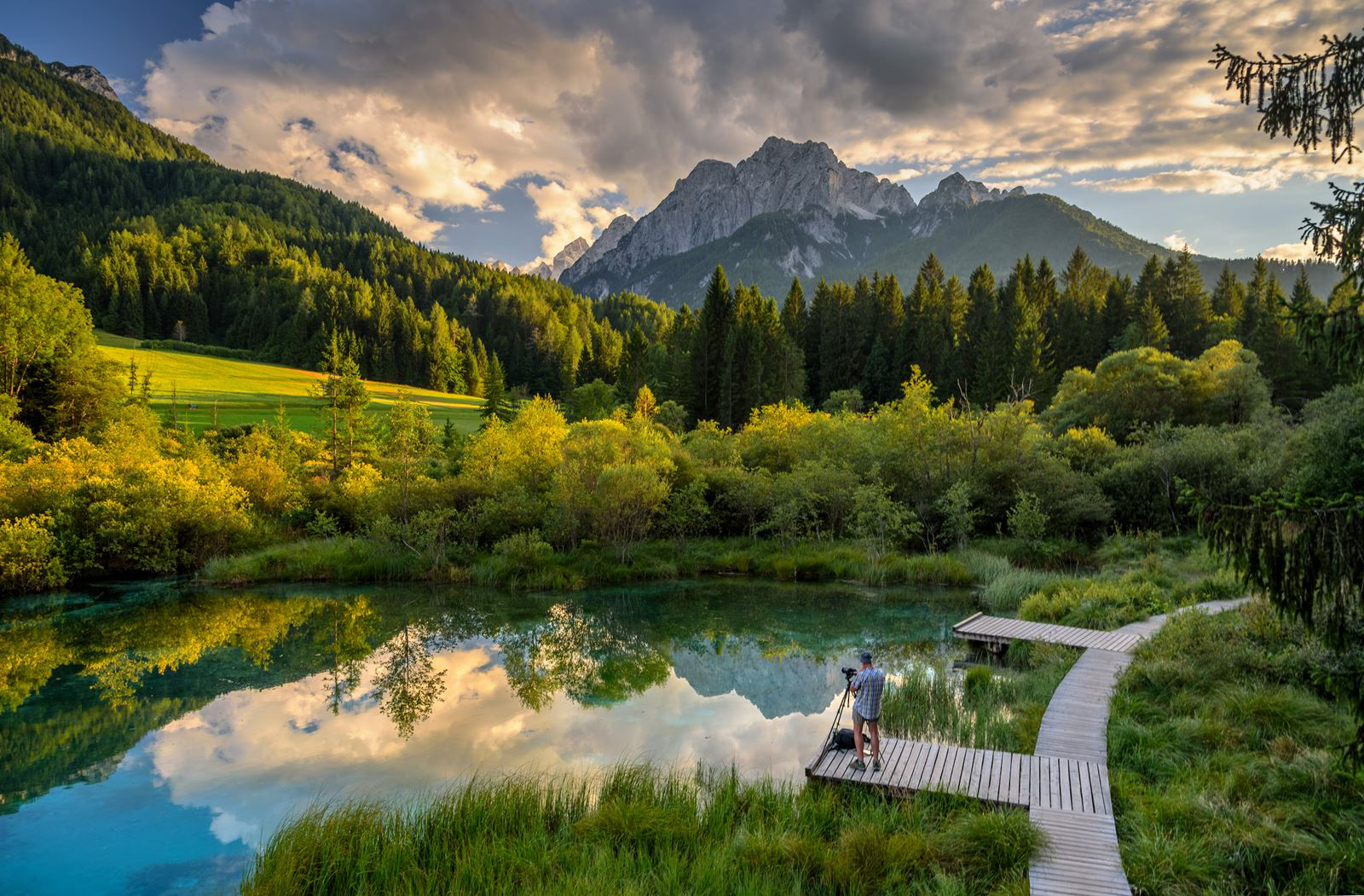 Zelenci