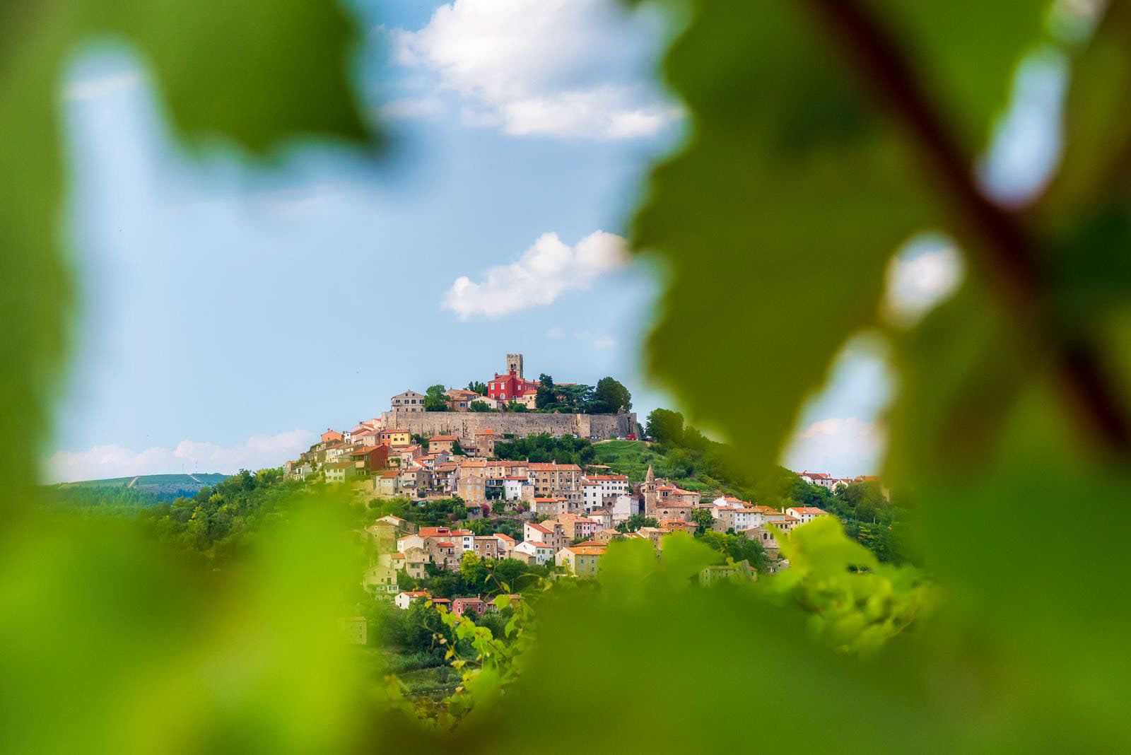3. Motovun