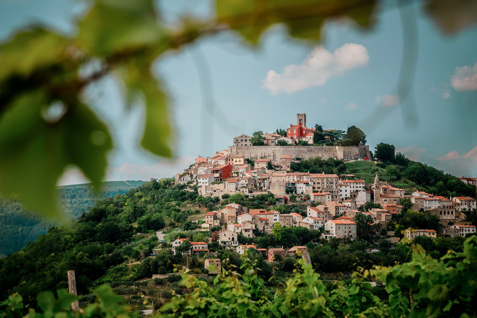 Motovun
