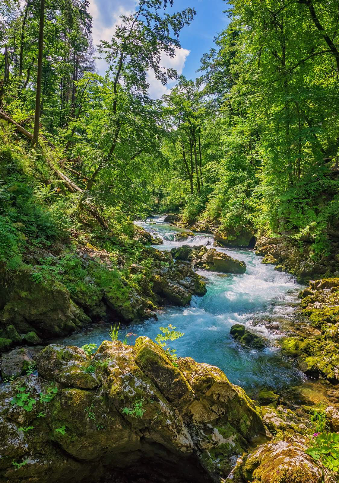 Vintgar Gorge