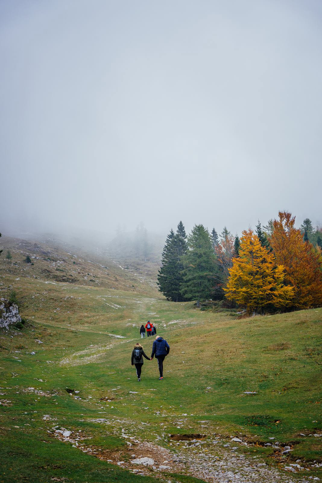 Velika Planina