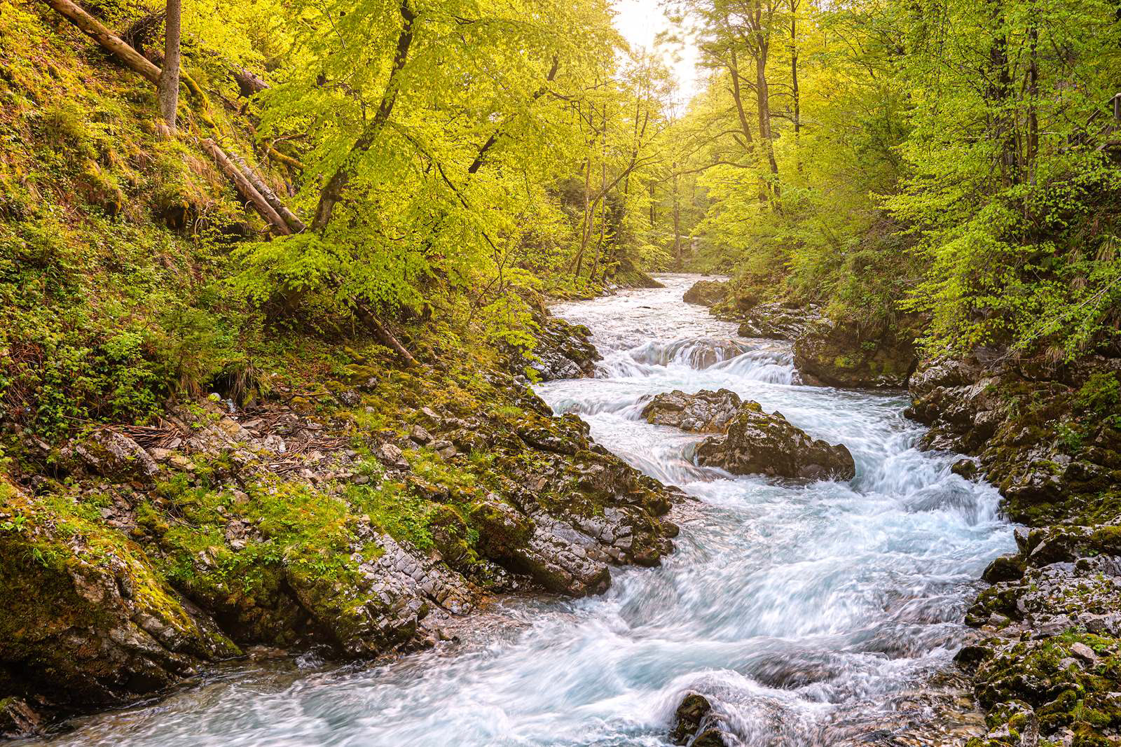 Vintgar Gorge