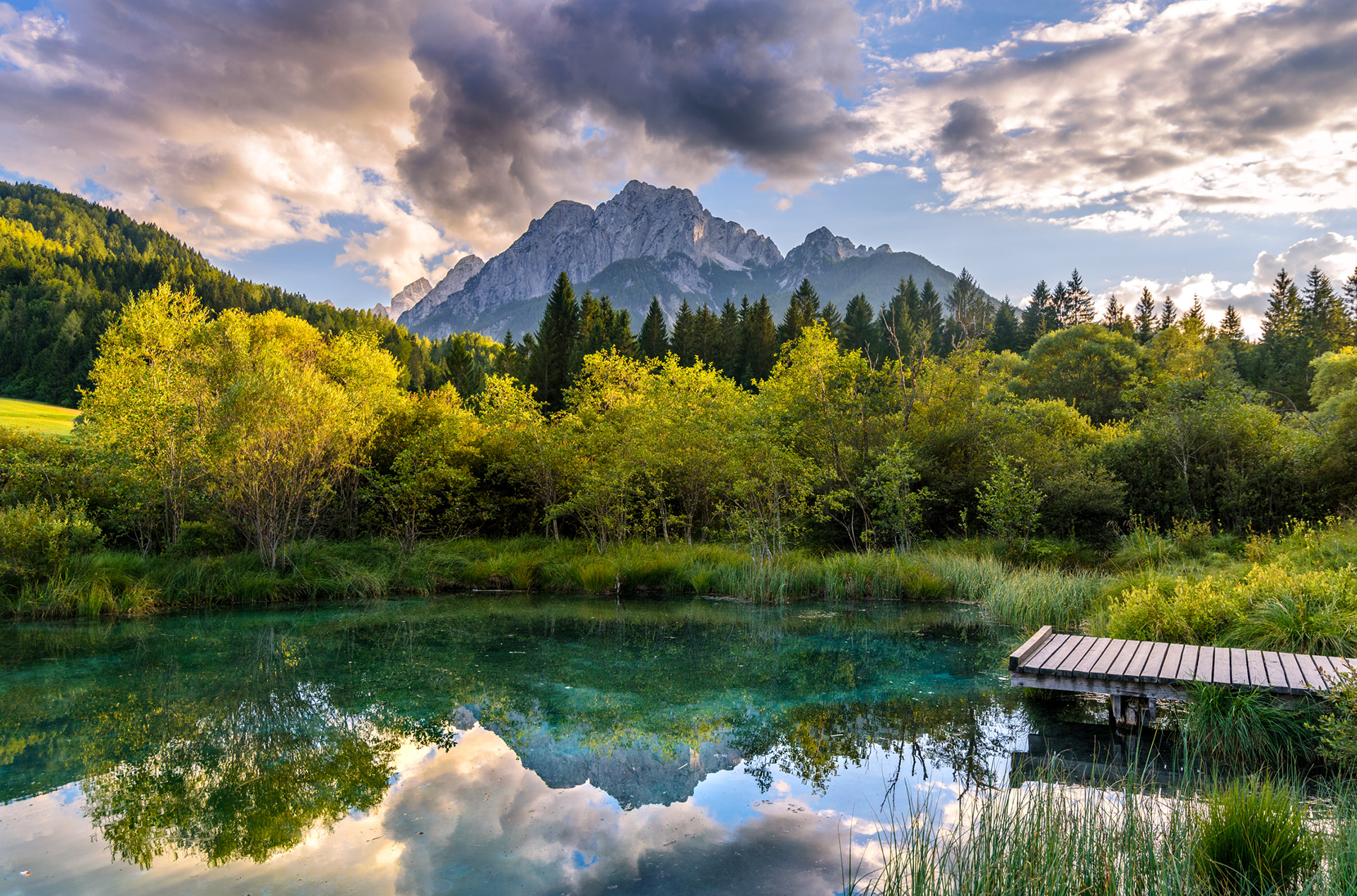 Zelenci