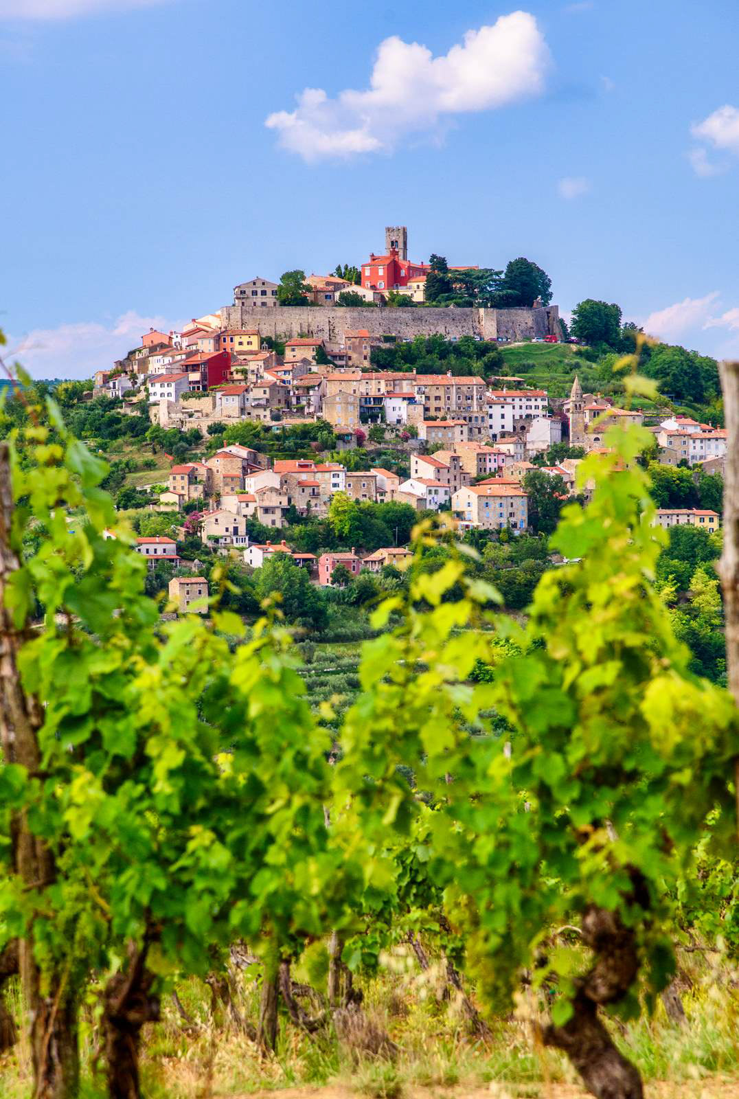 5. Motovun