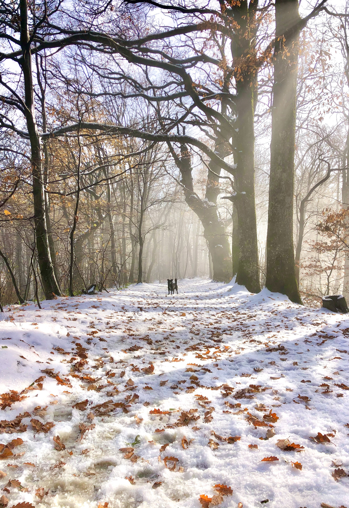 Zagreb