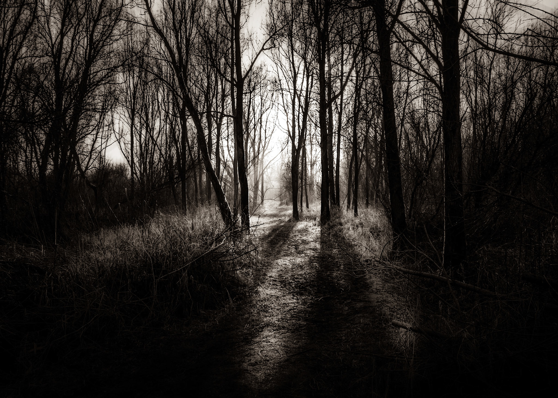 Diemer Vijfhoek, Amsterdam, Netherlands