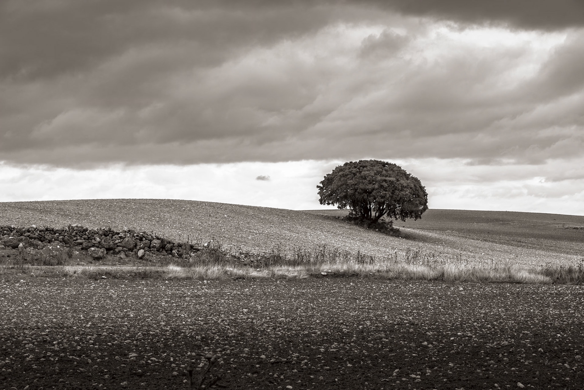 Alarcon, Castile-La Mancha, Spain