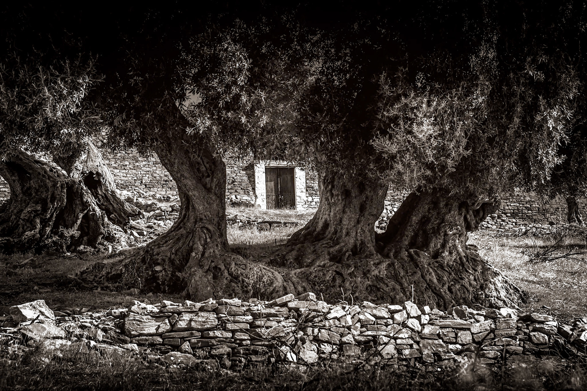 Alatas island, Pelion, Greece