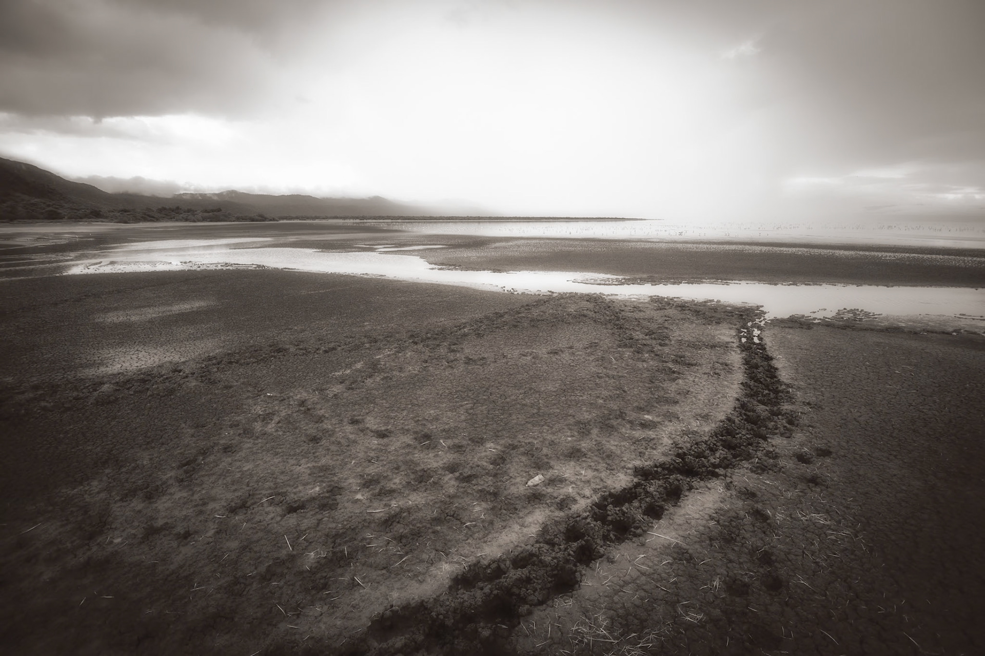 Lake Manyara, Tanzania