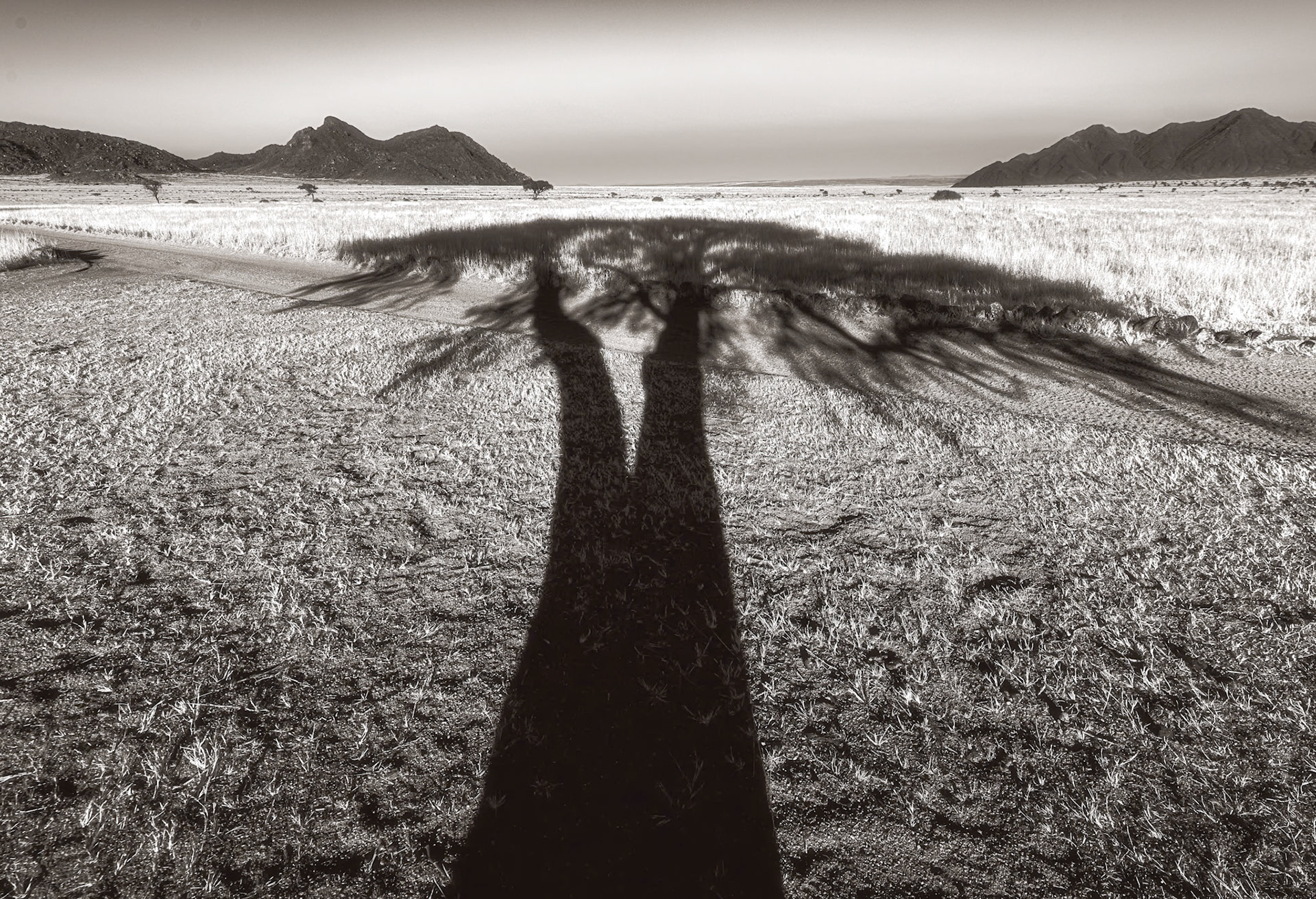 Tiras Mountains, Namibia