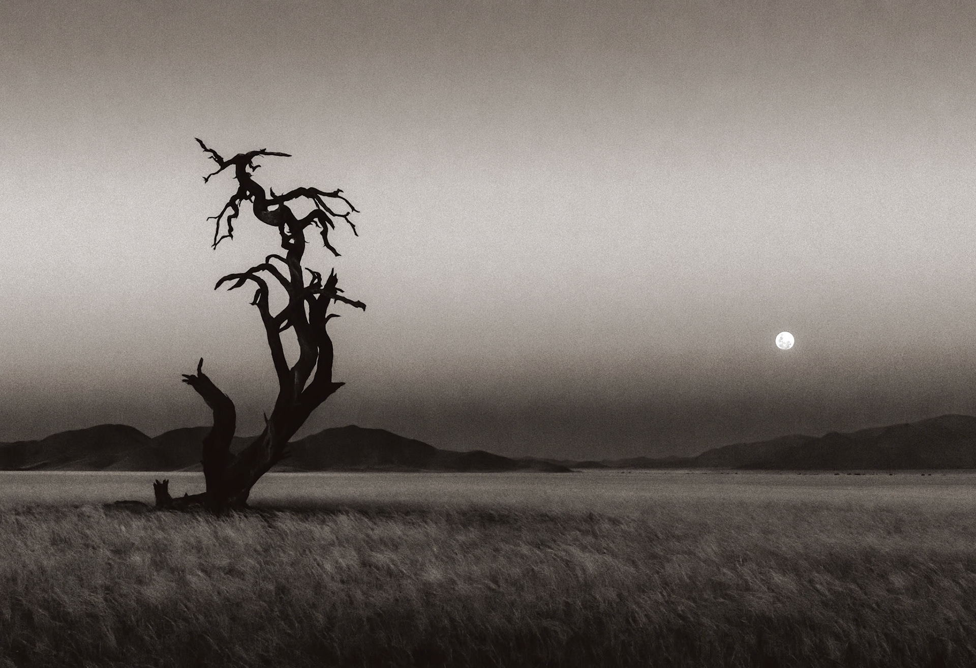 Moonlight, Tiras Mountains, Namibia