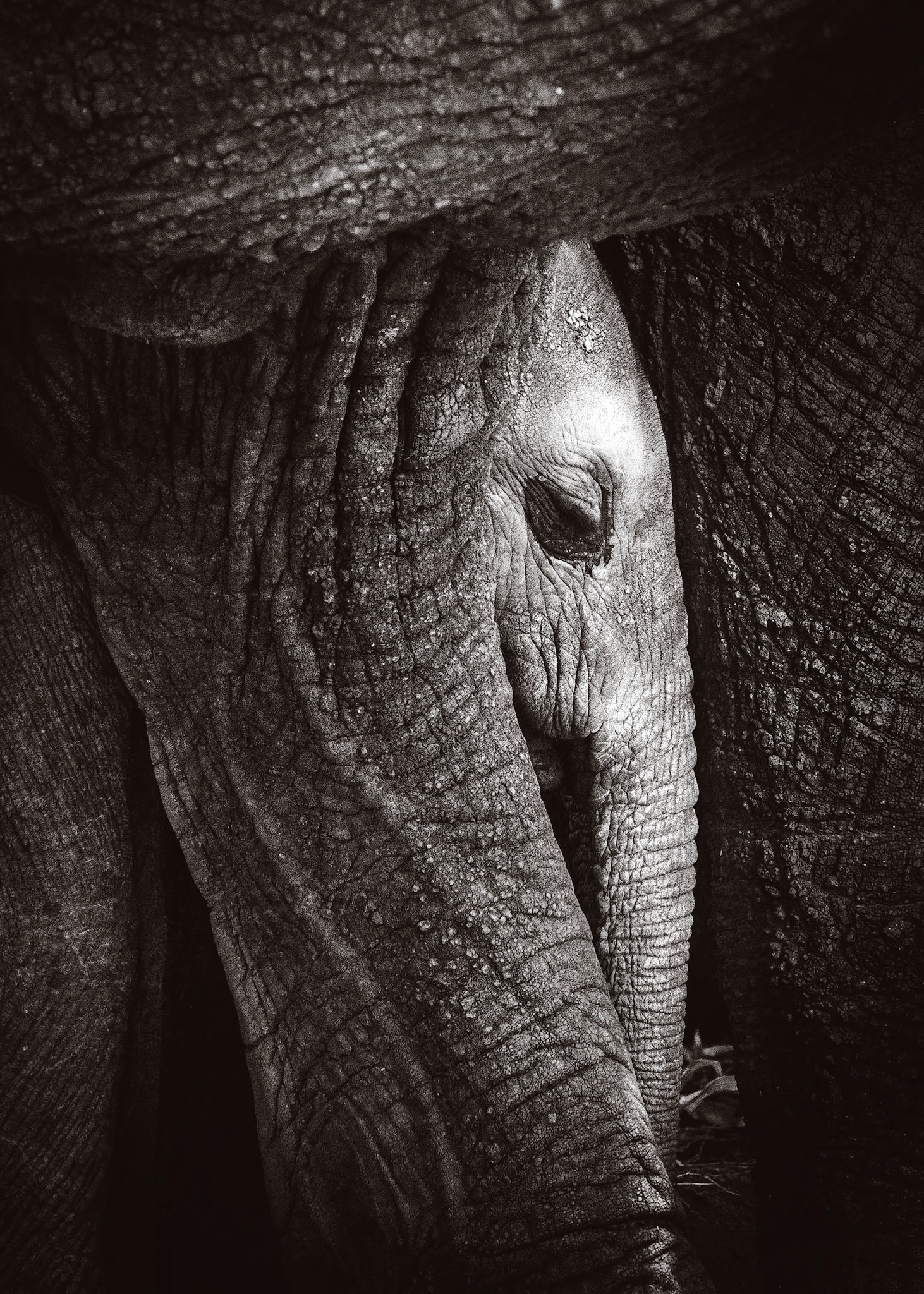 Tarangire National Park, Tanzania